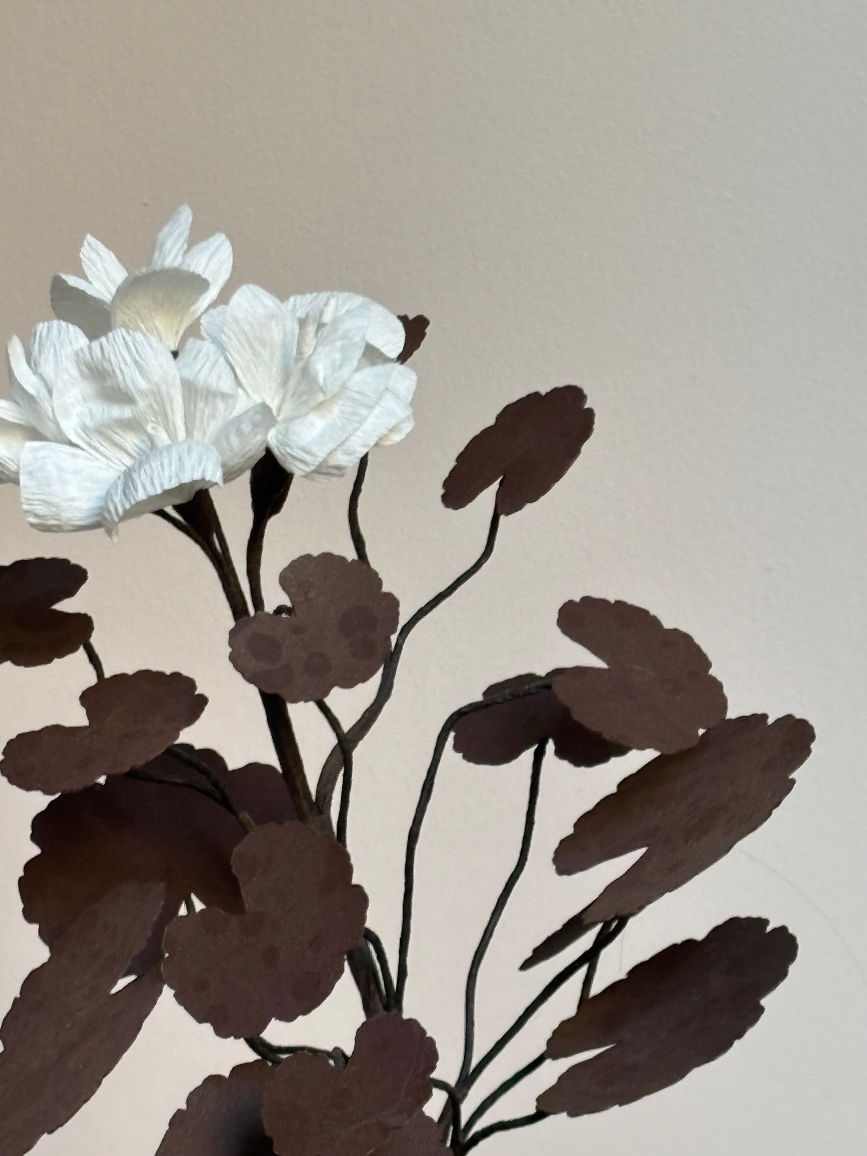 Paper Geranium