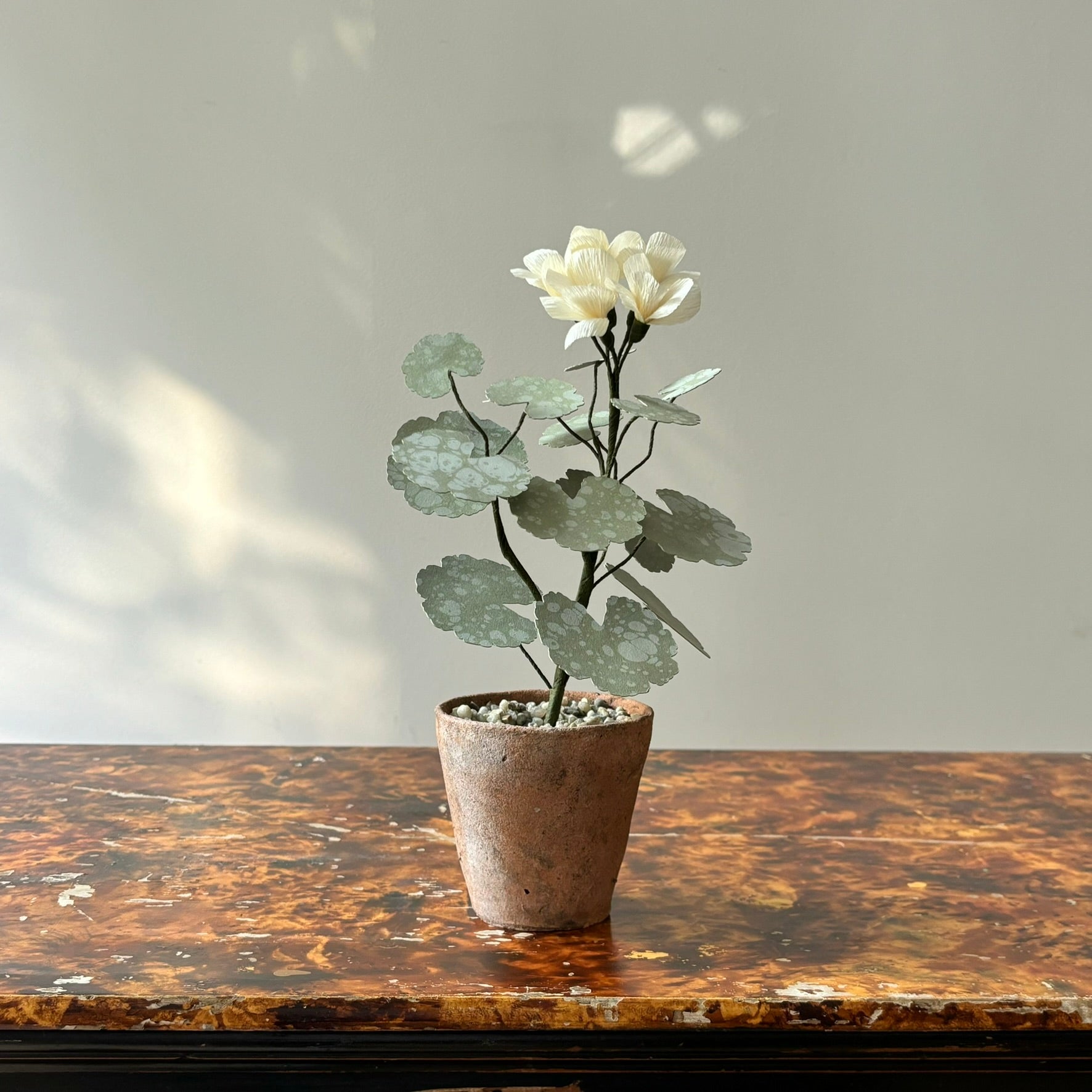 Paper Geranium