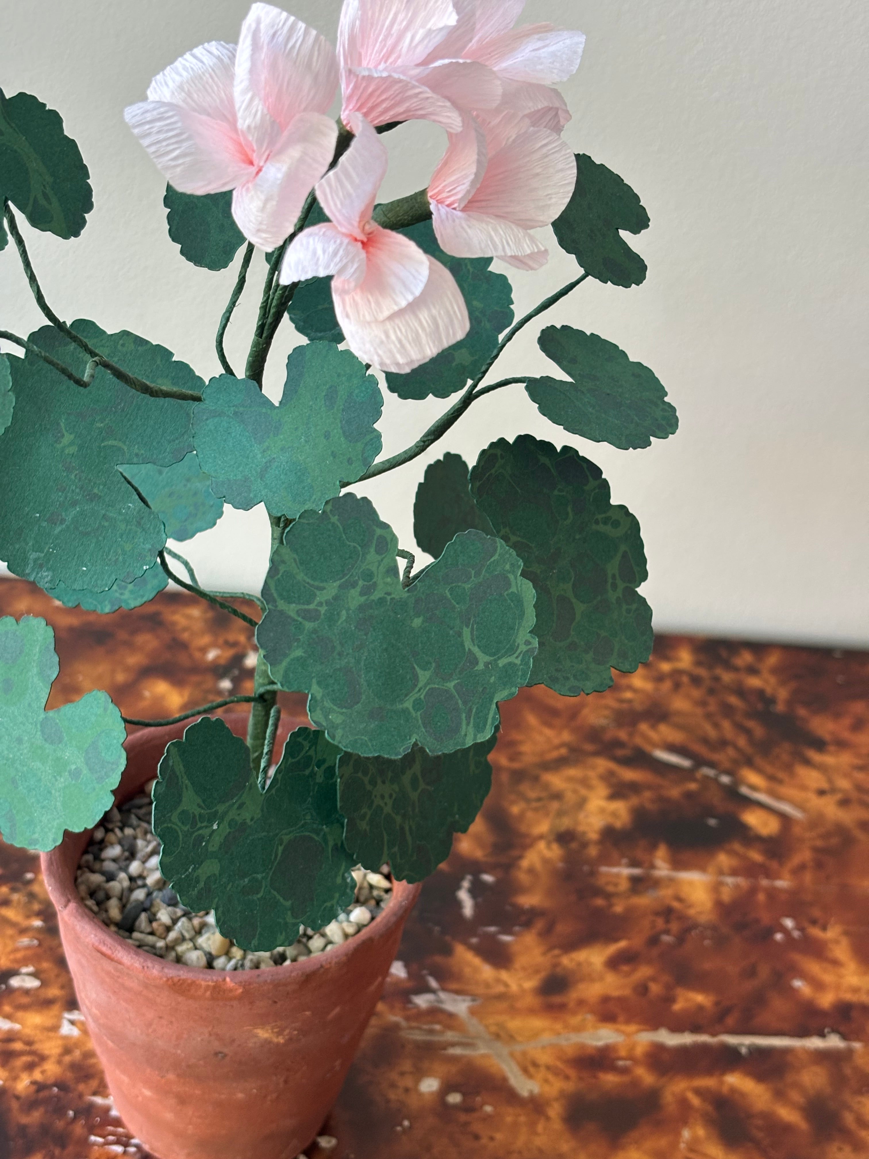 Paper Geranium