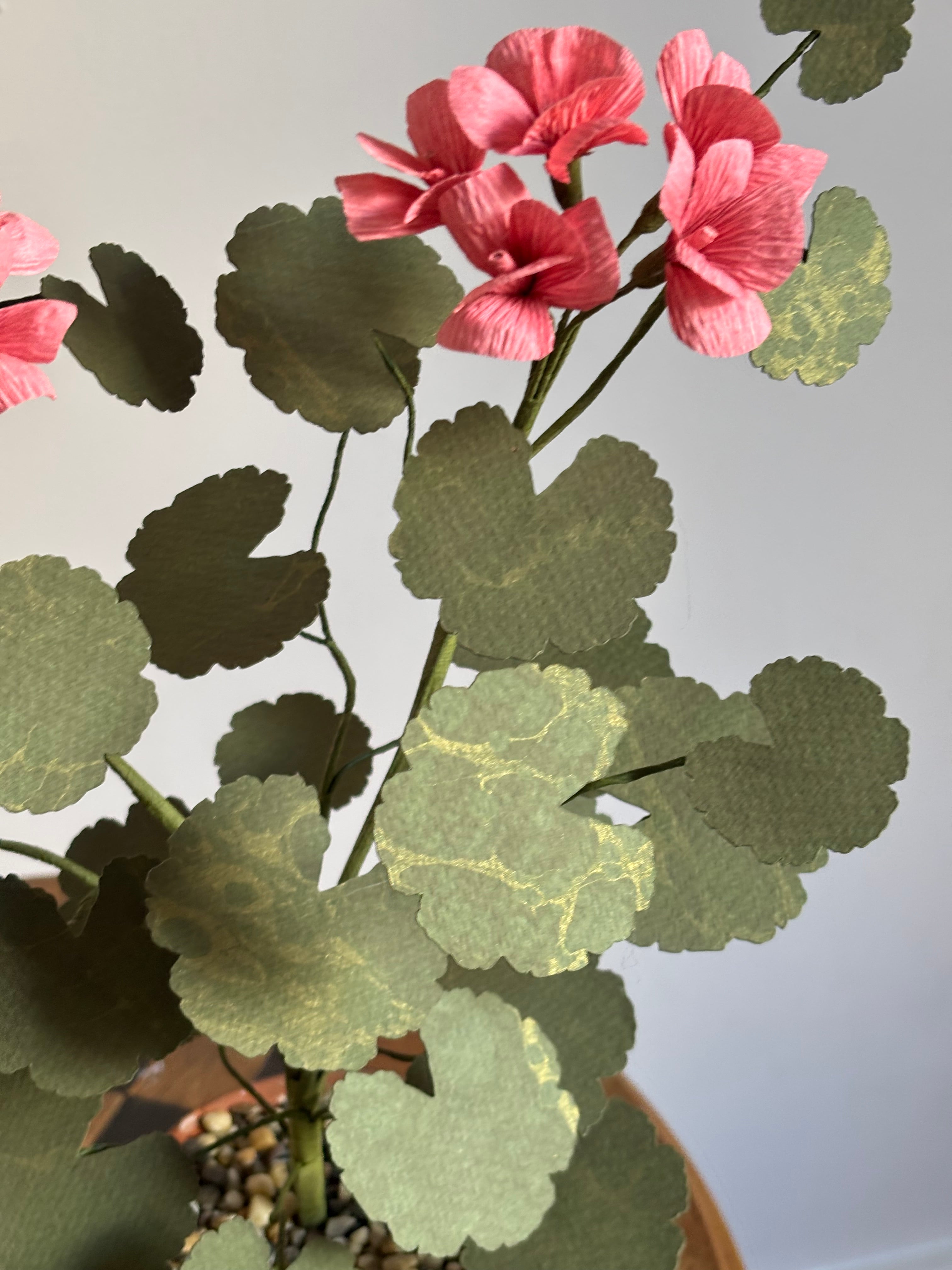 Paper Geranium