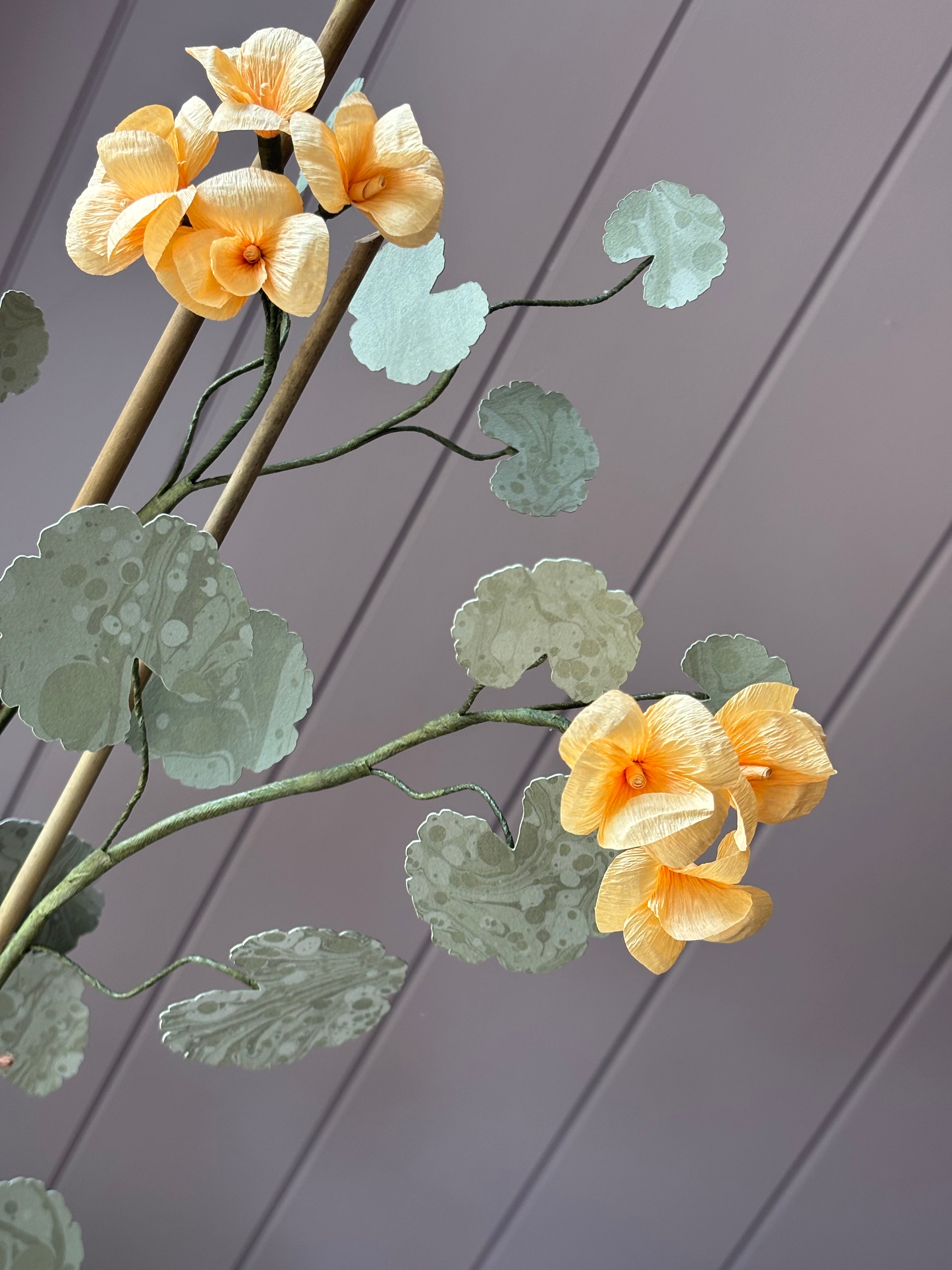 Paper geranium