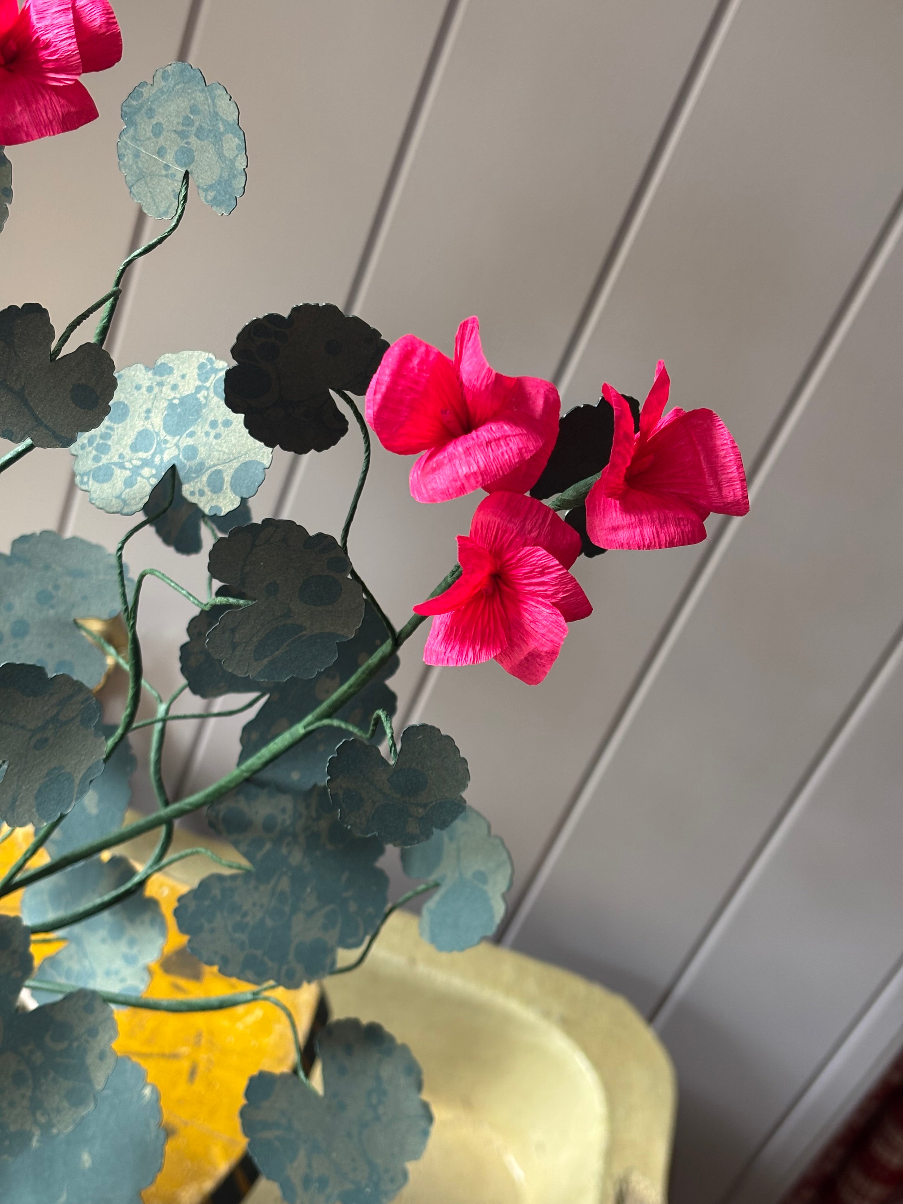 Paper geranium