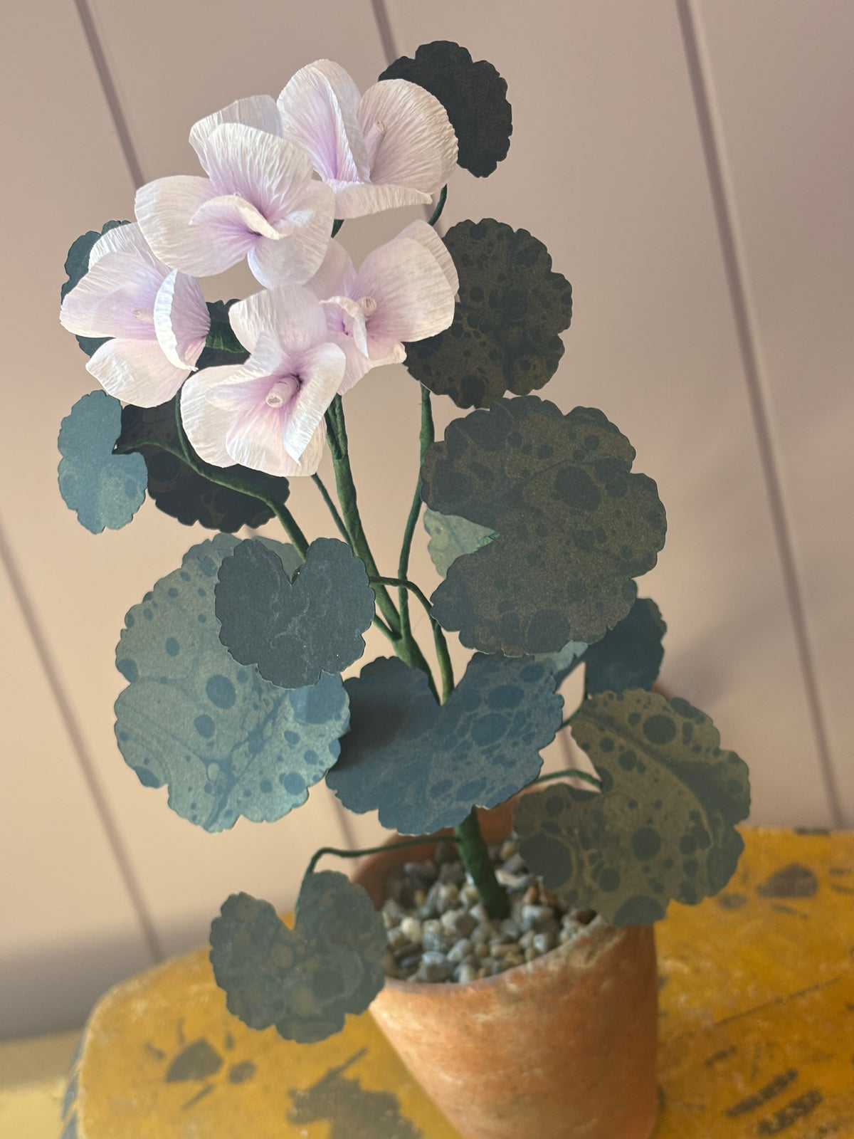 Paper geranium