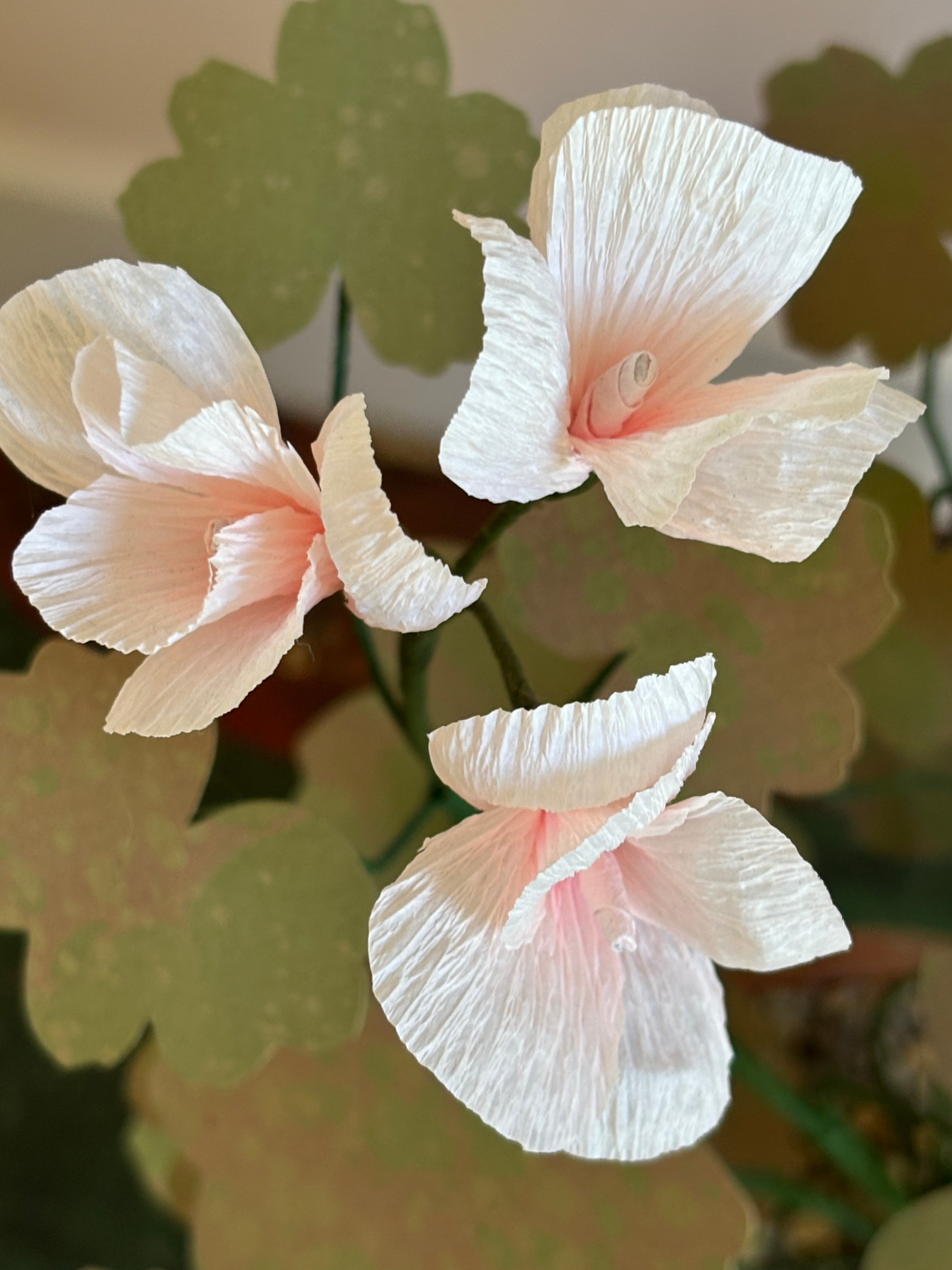 Paper Geranium