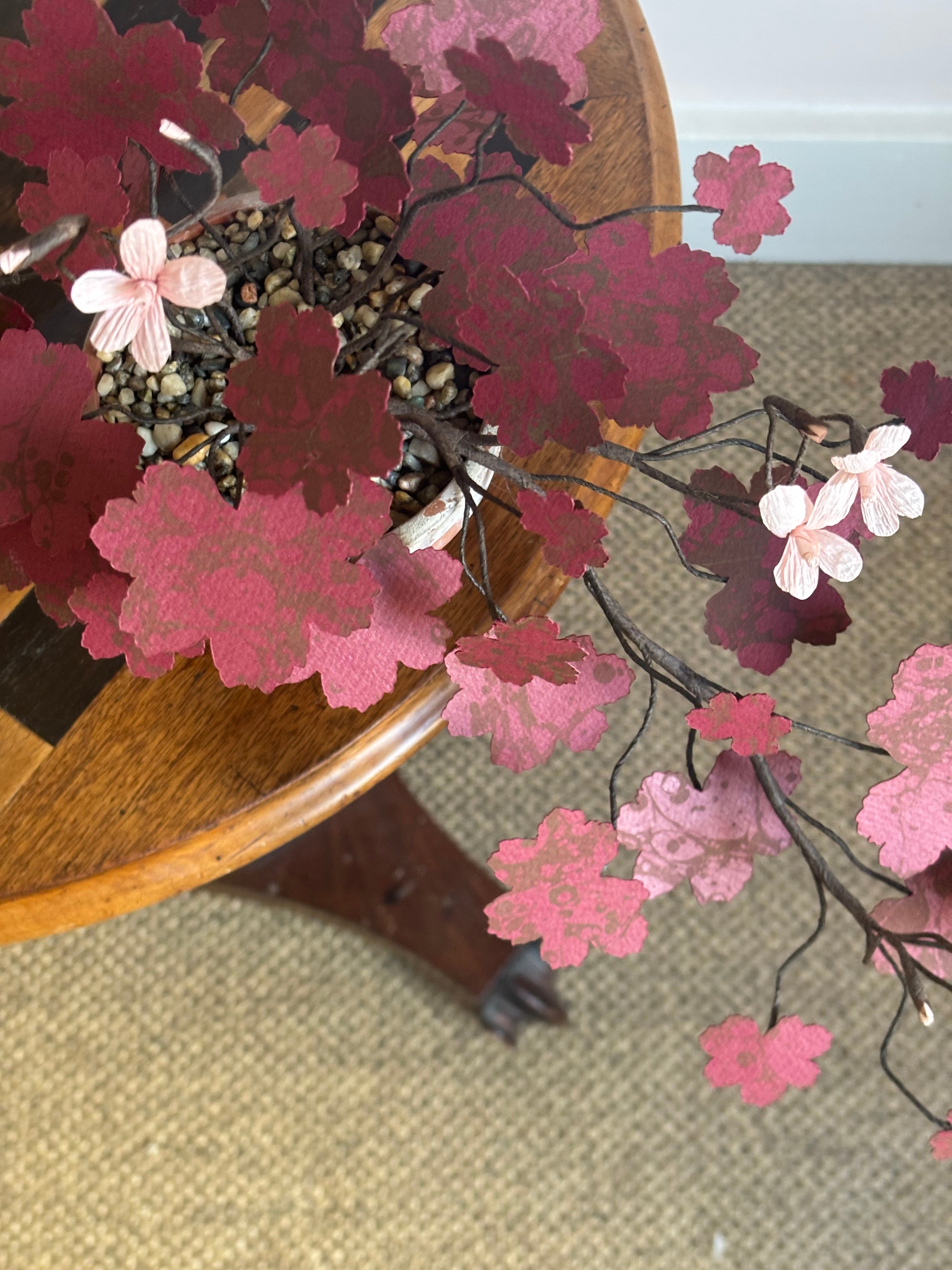 Paper Geranium, trailing