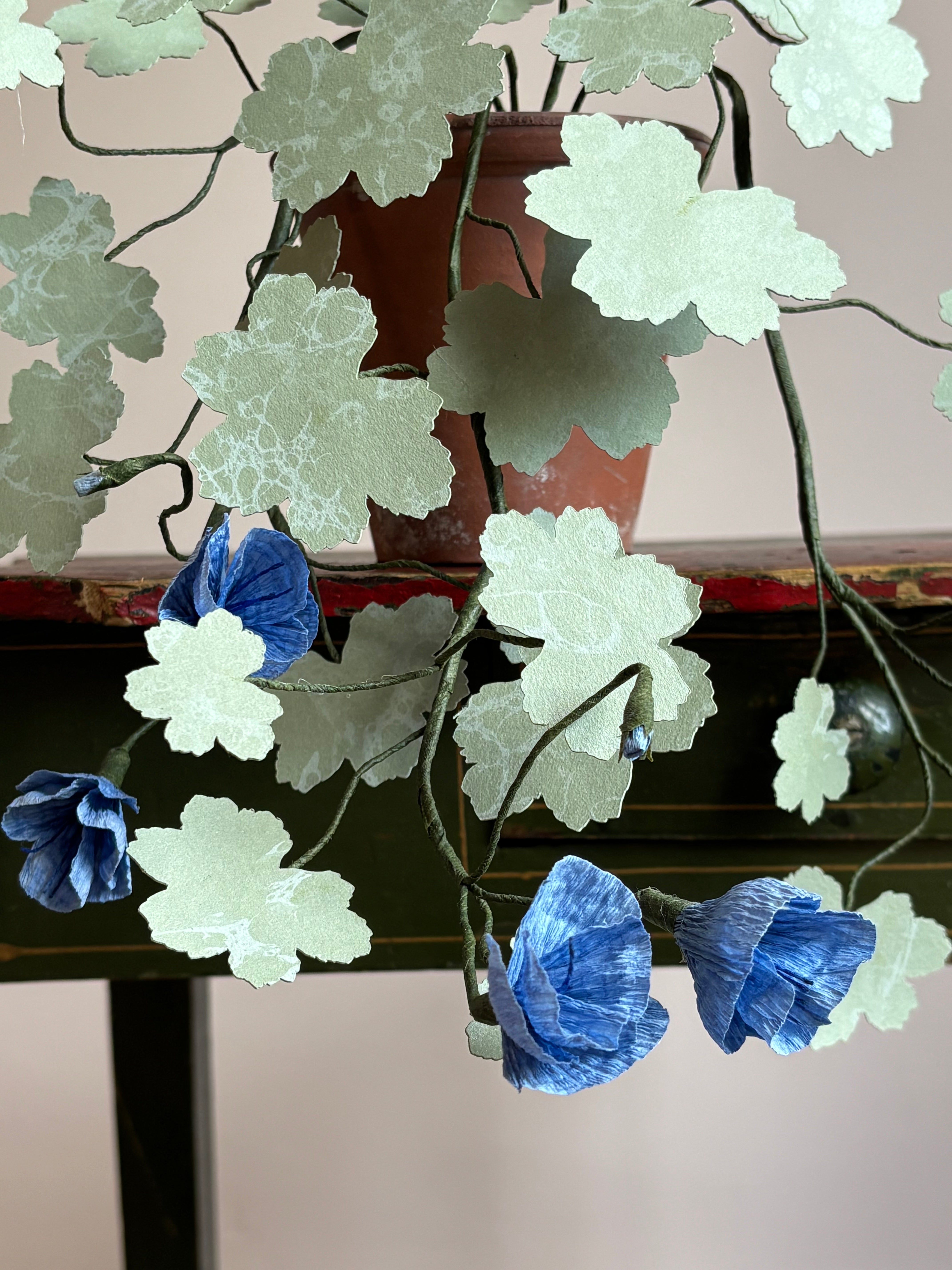 Paper hardy Geranium, trailing