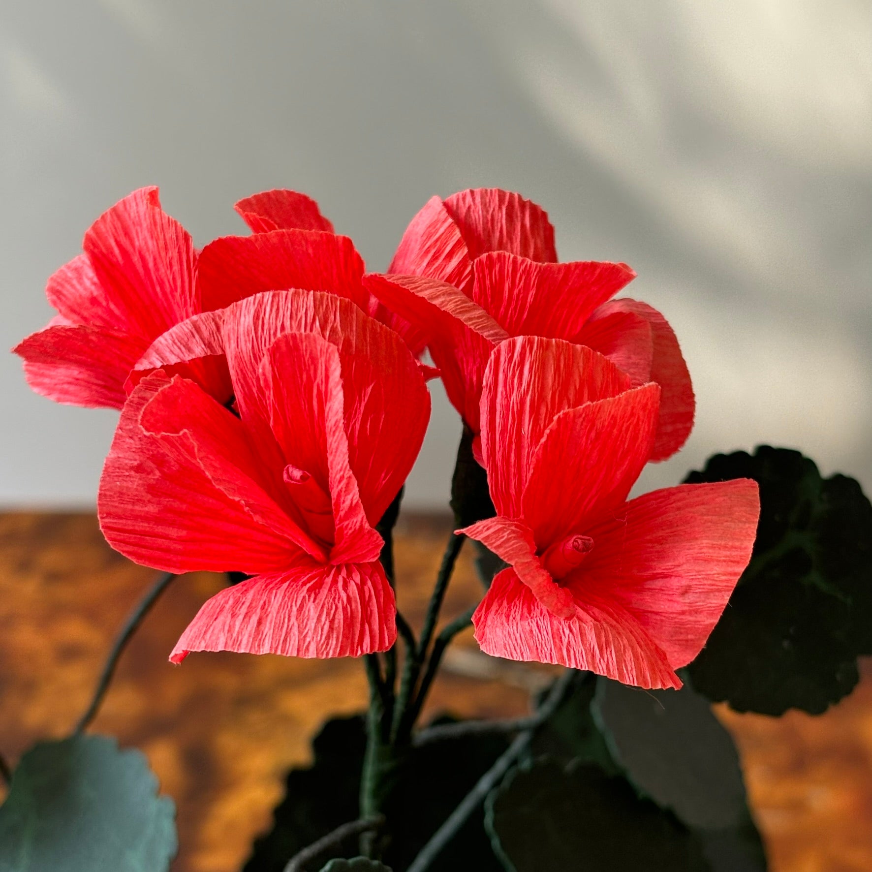 Paper Geranium
