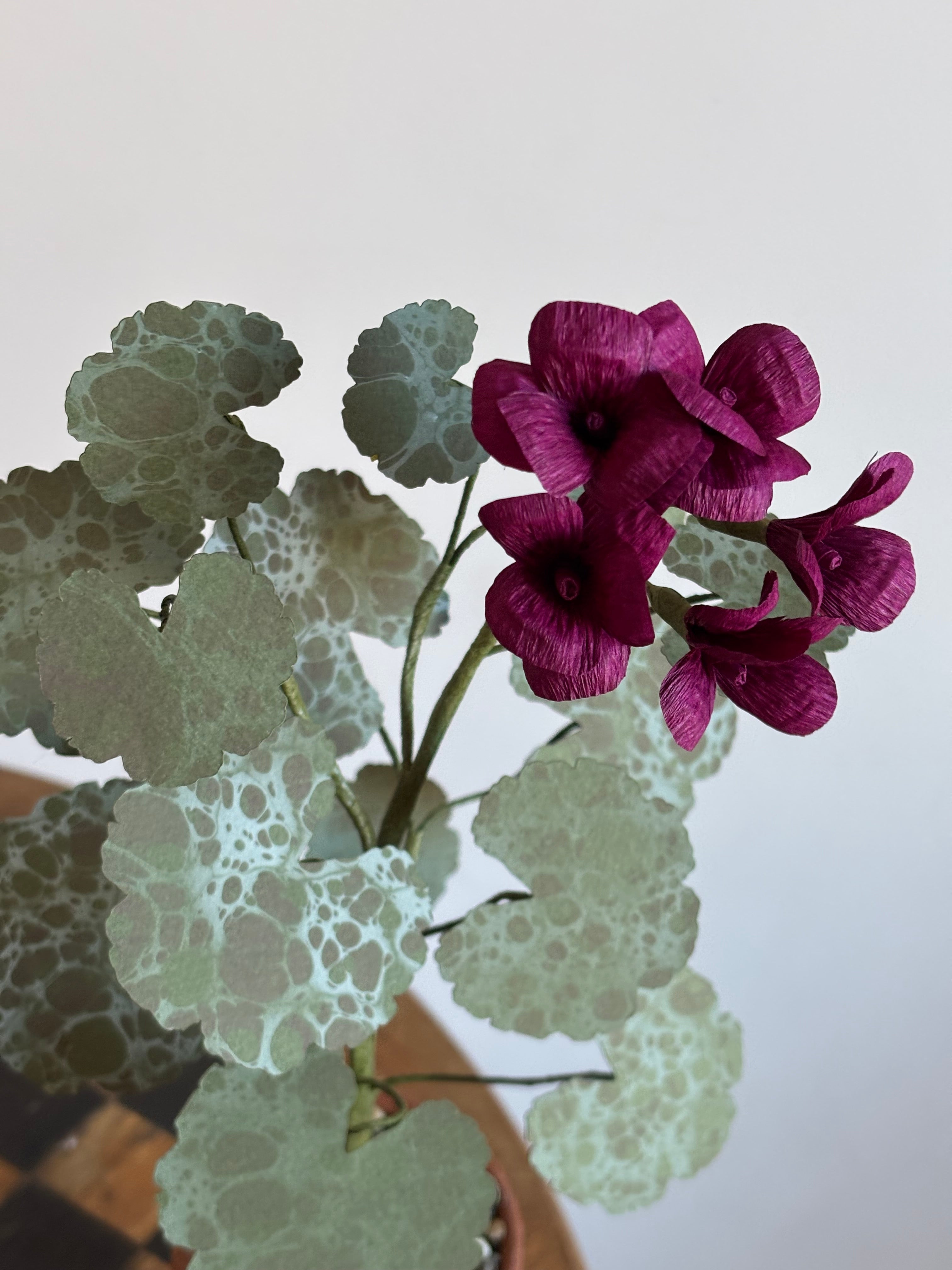 Paper Geranium