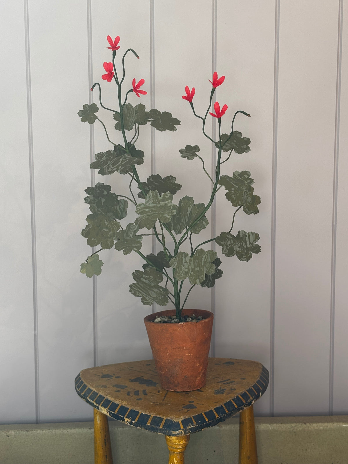 Paper geranium