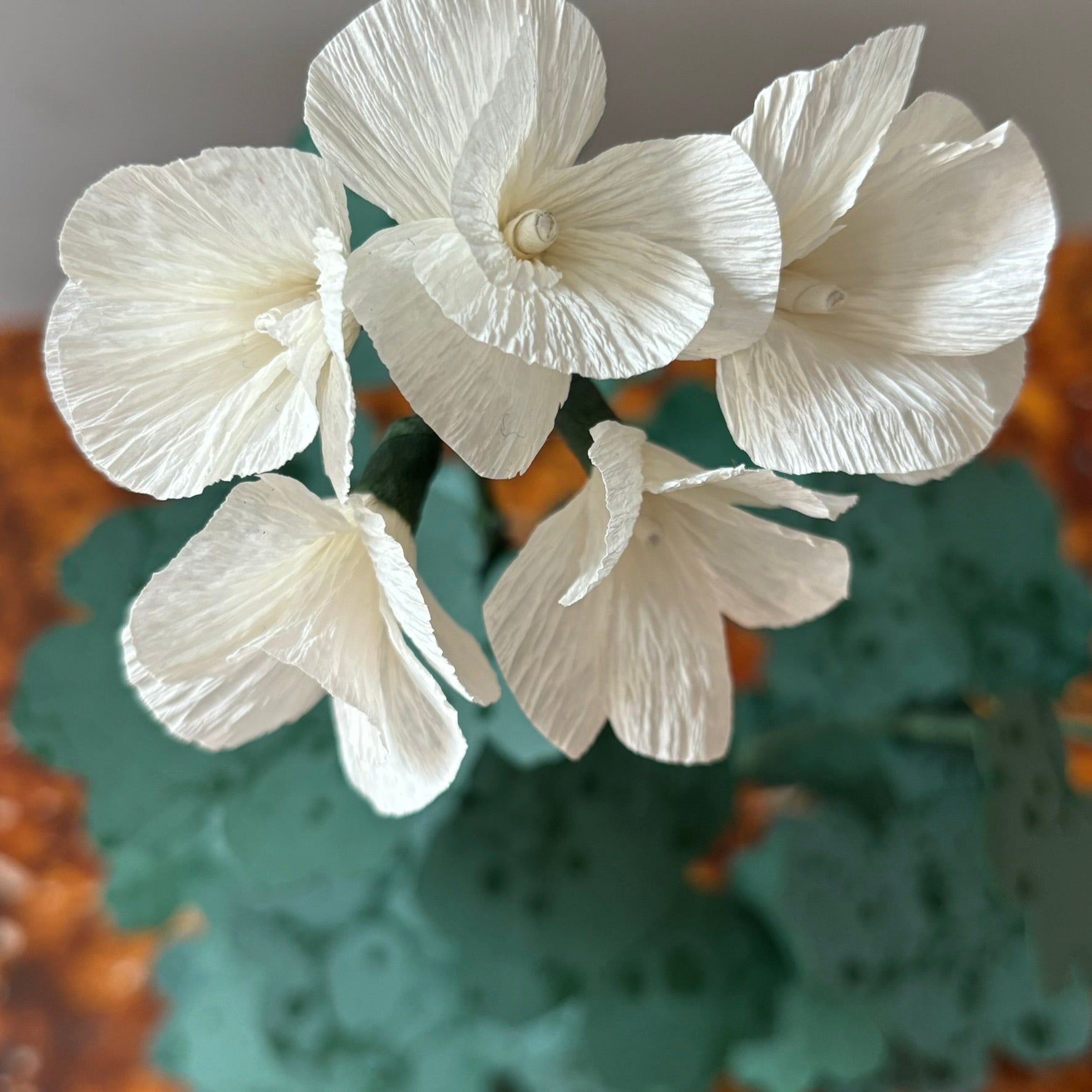 Paper Geranium