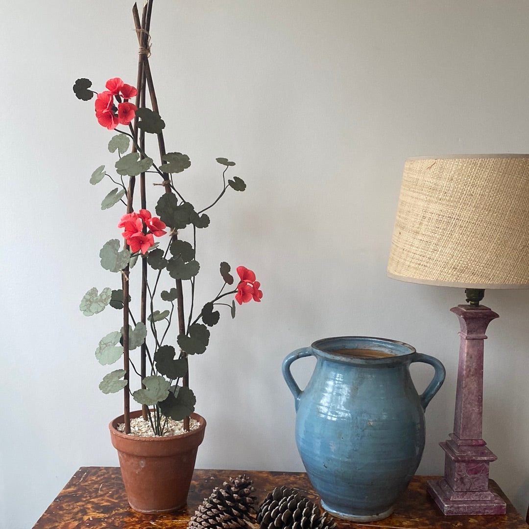 Paper Geranium COLLECTION or LONDON courier only