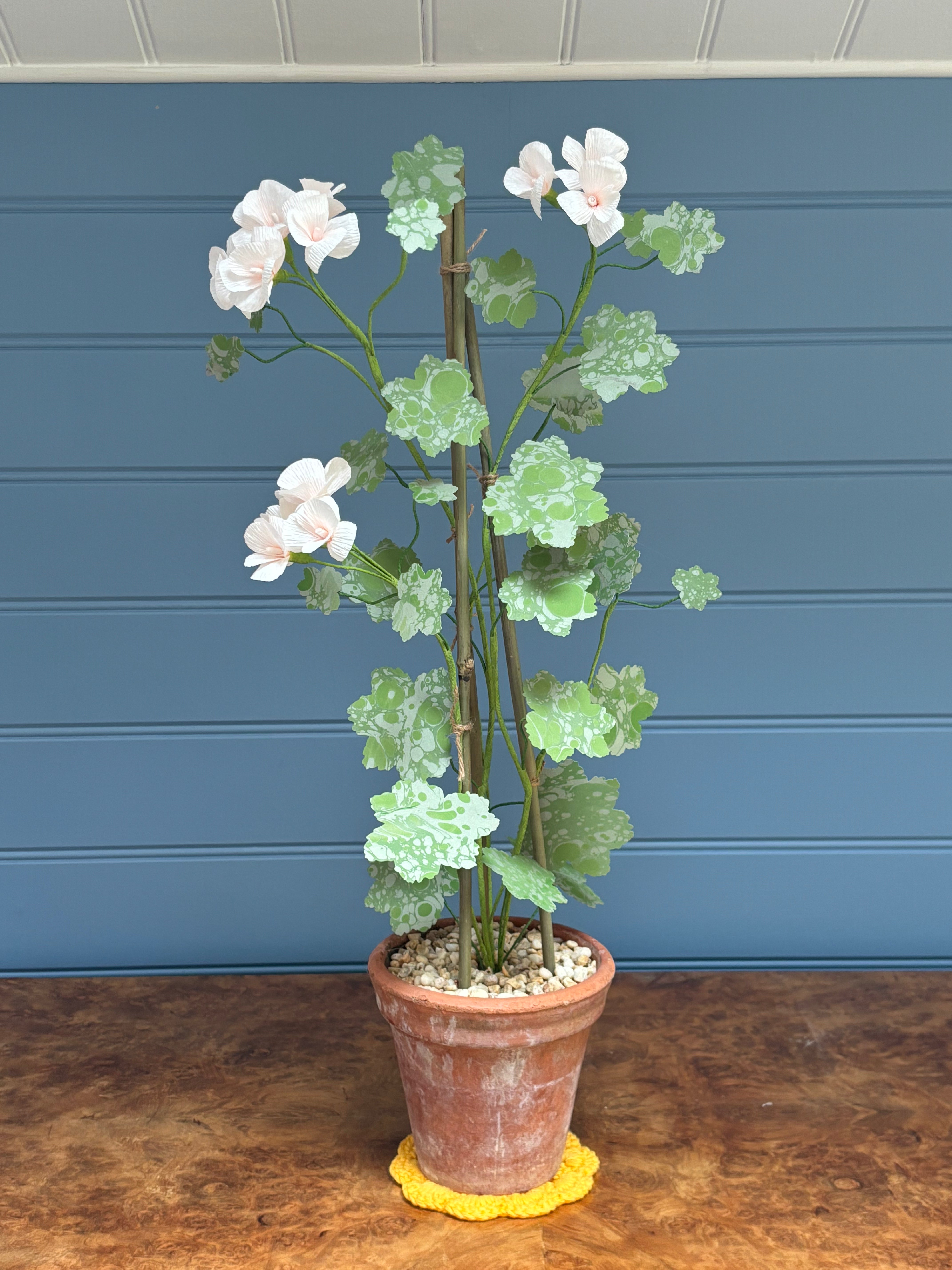 Geranium