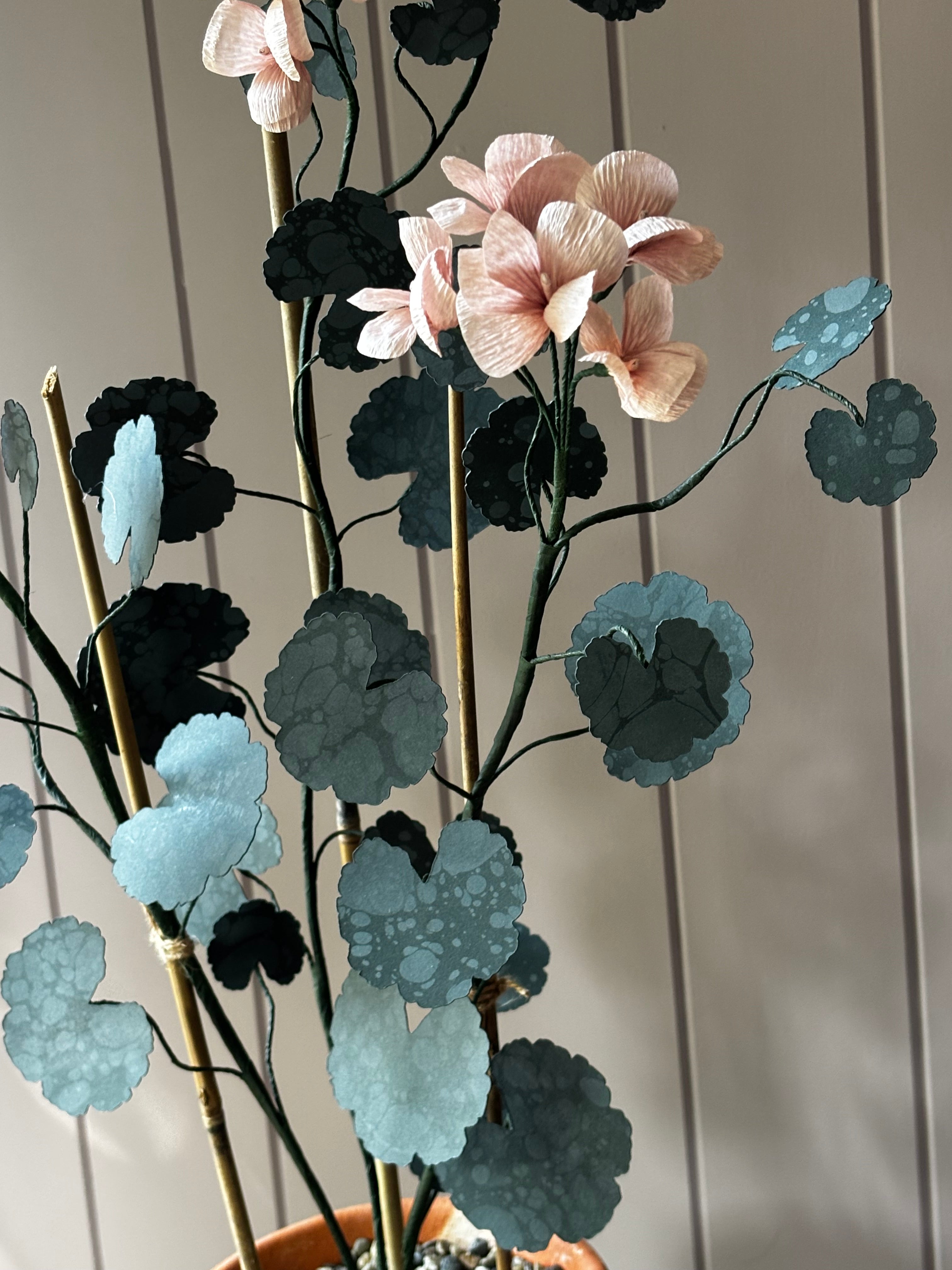 Paper geranium