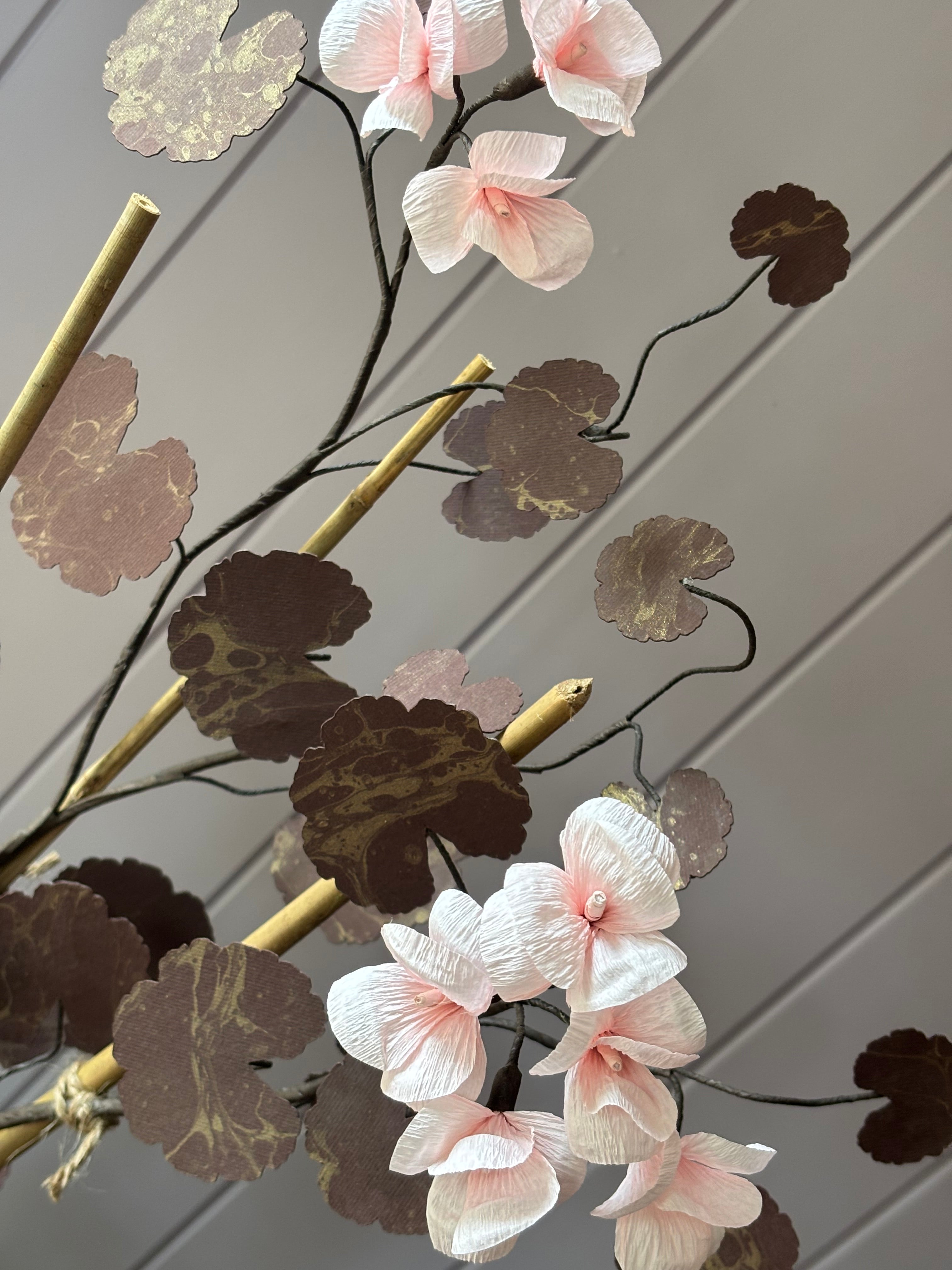Paper geranium
