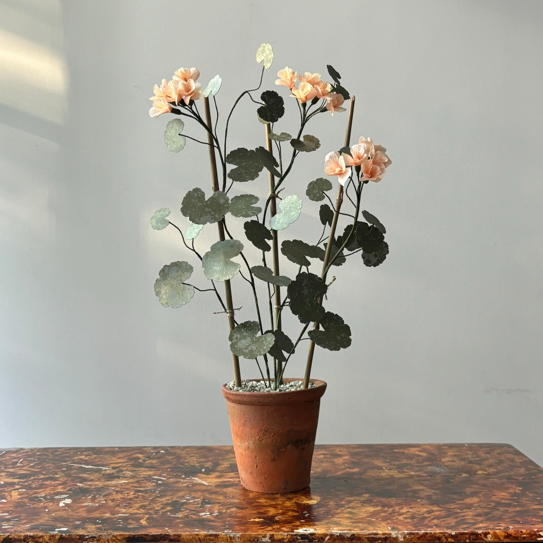 Paper Geranium