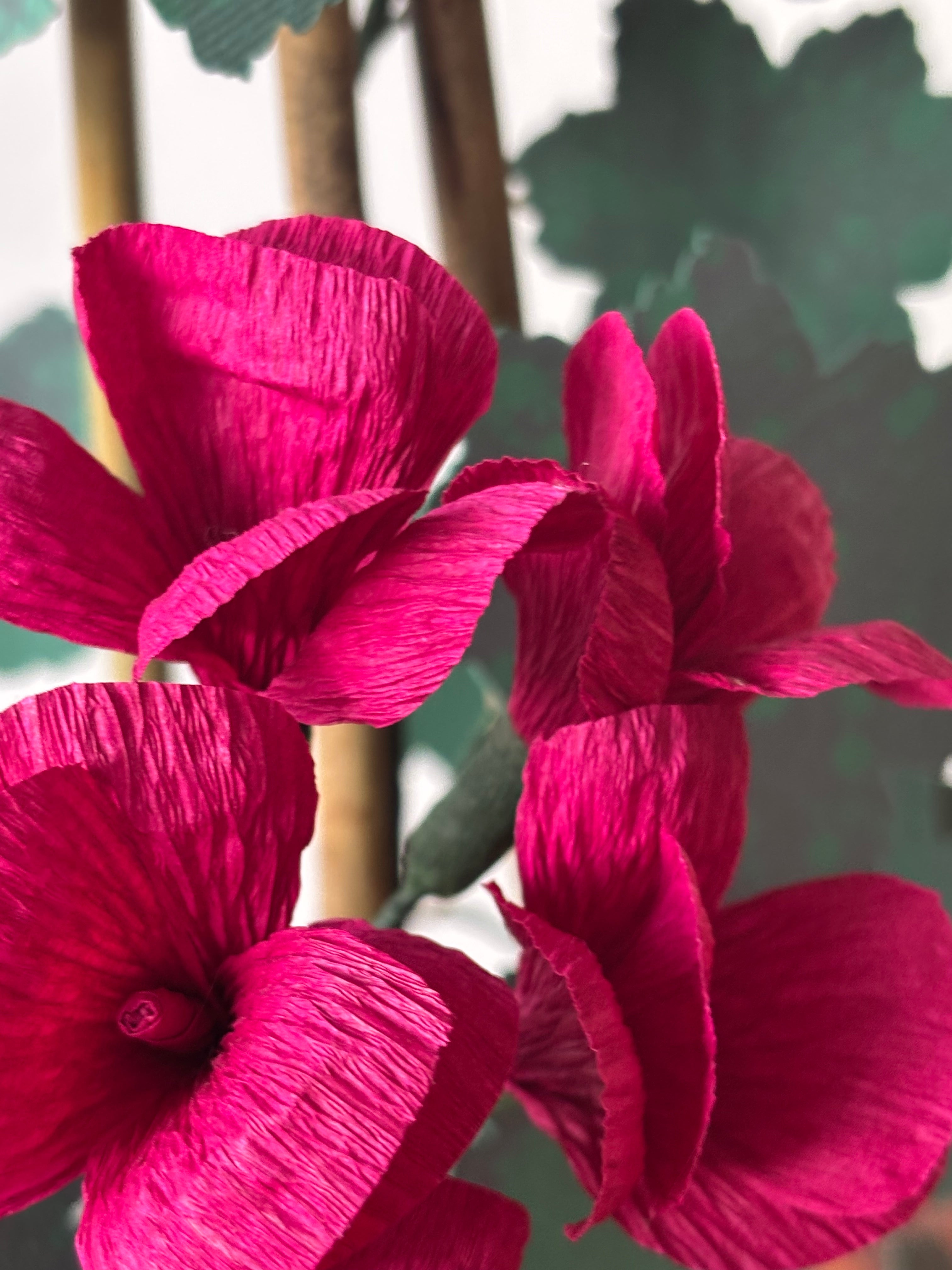 Paper Geranium