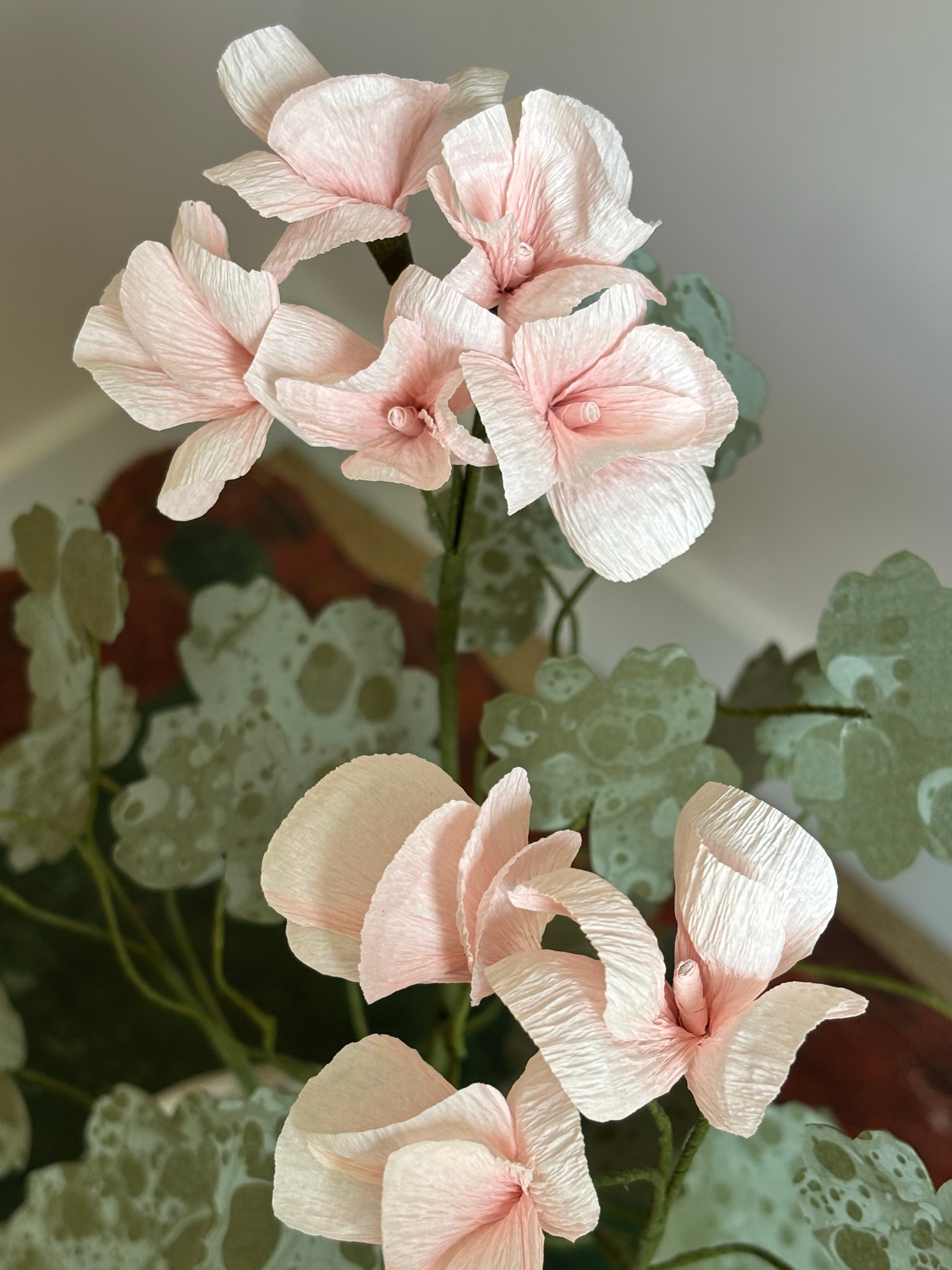 Paper Geranium