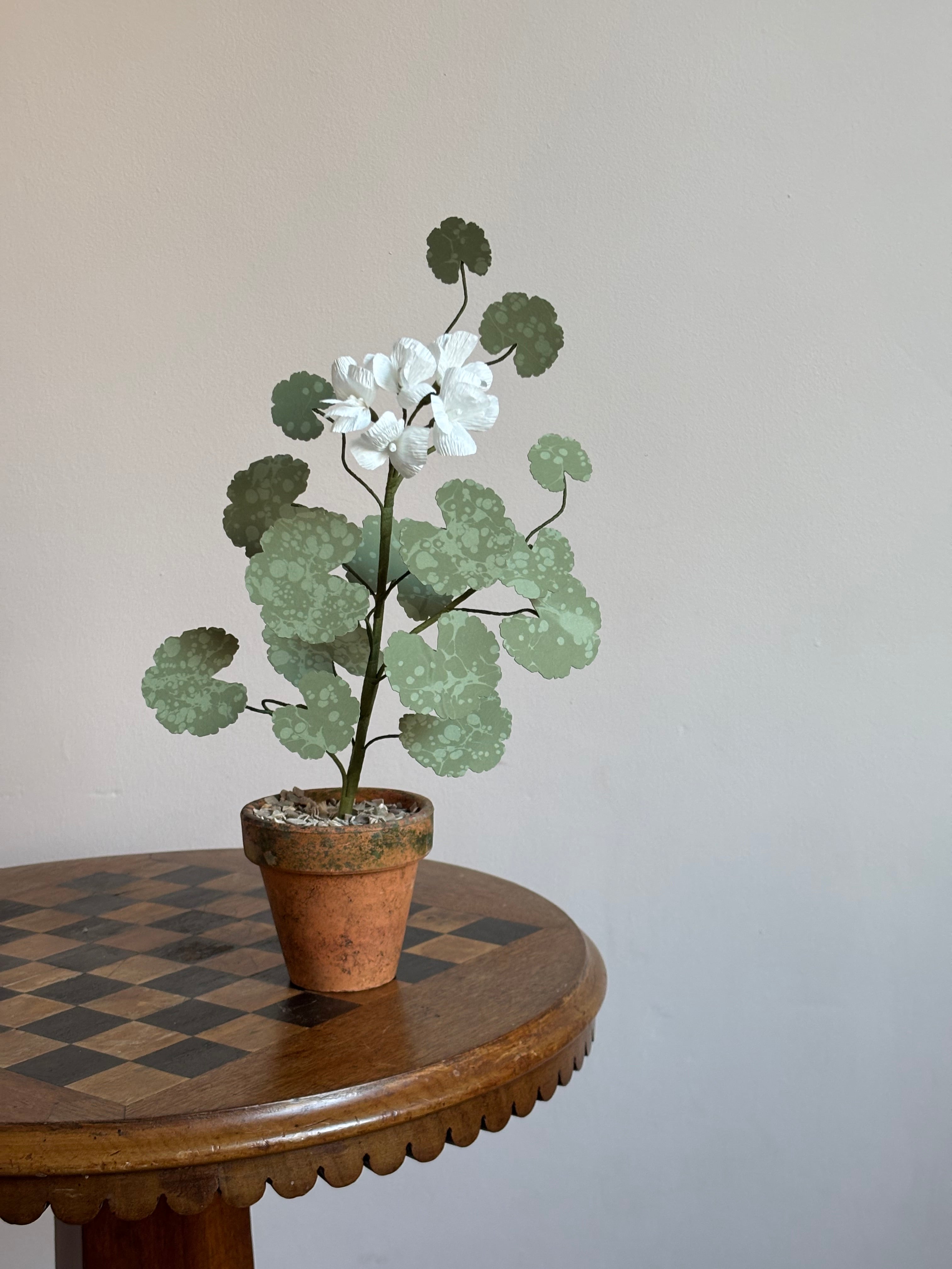 Paper Geranium