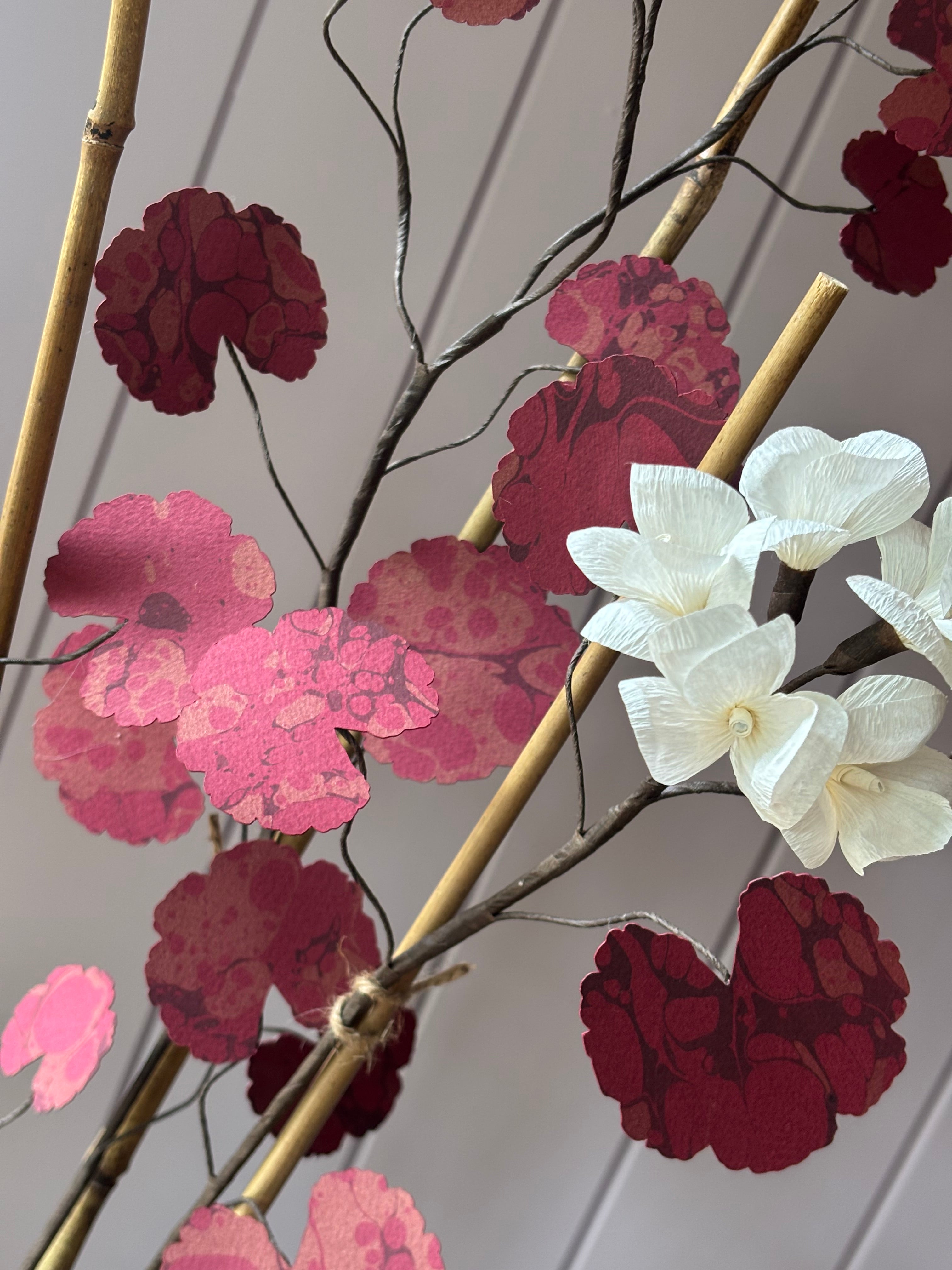 Paper geranium