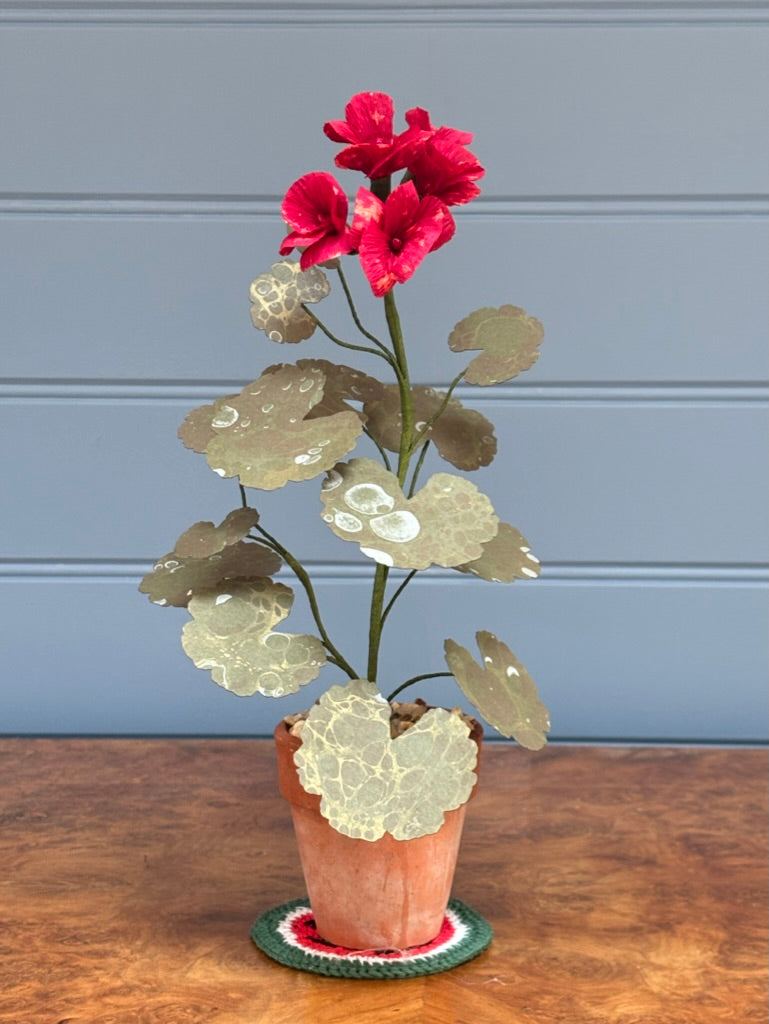 Geranium