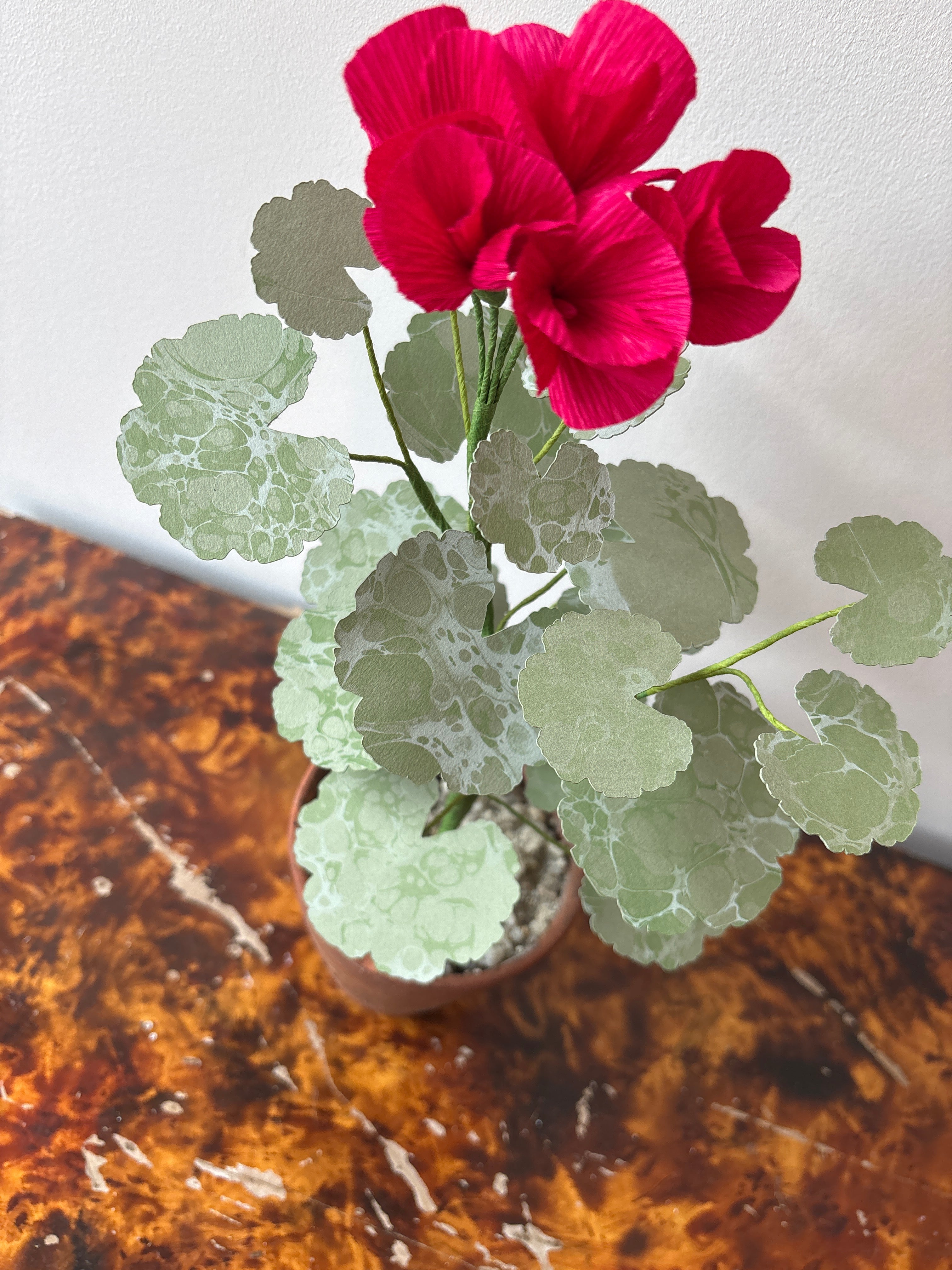 Paper Geranium S