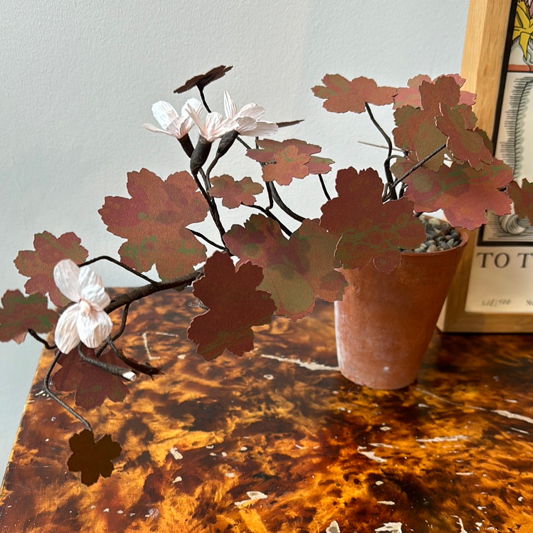 Paper Geranium