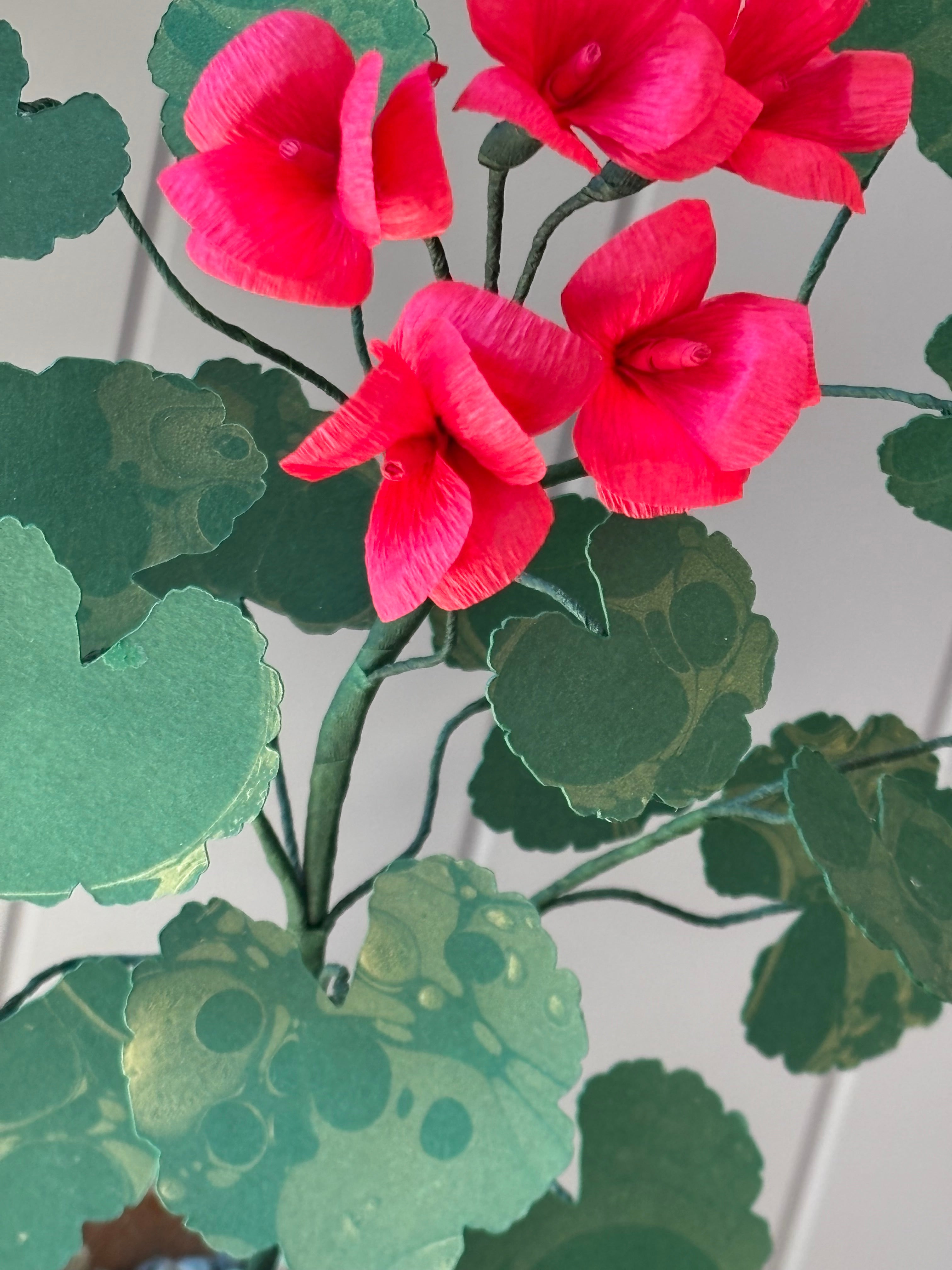 Paper geranium