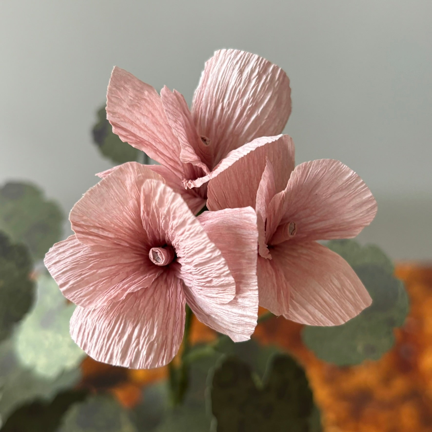 Paper Geranium