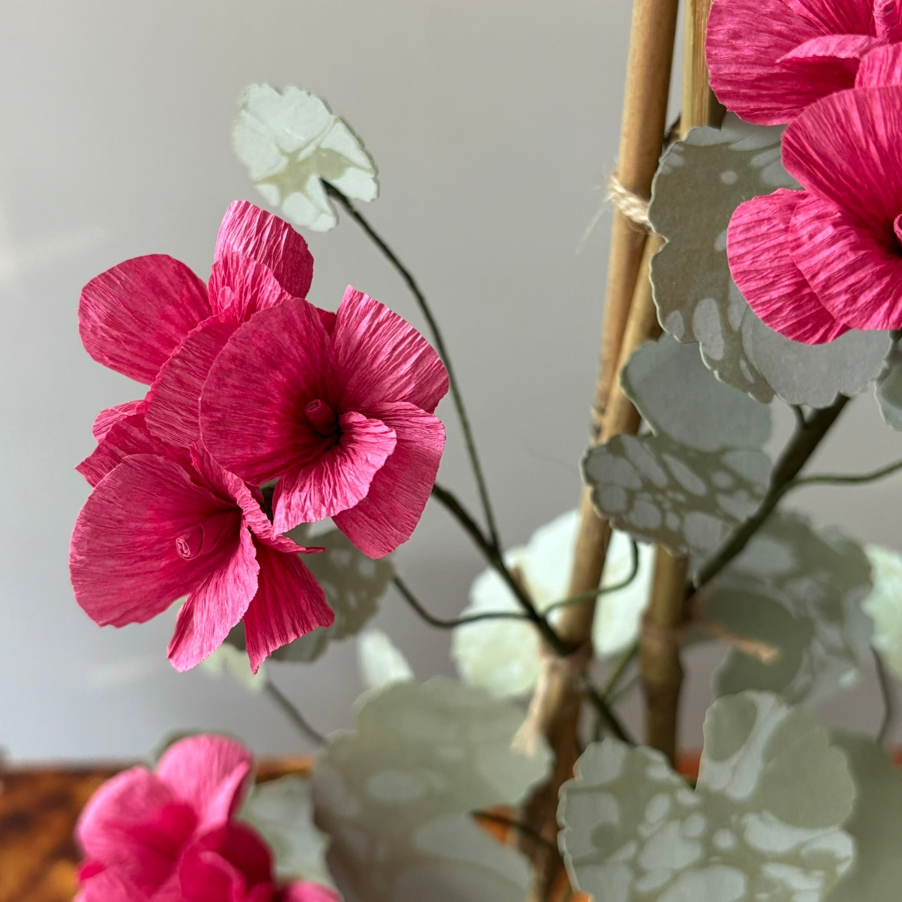 Paper Geranium