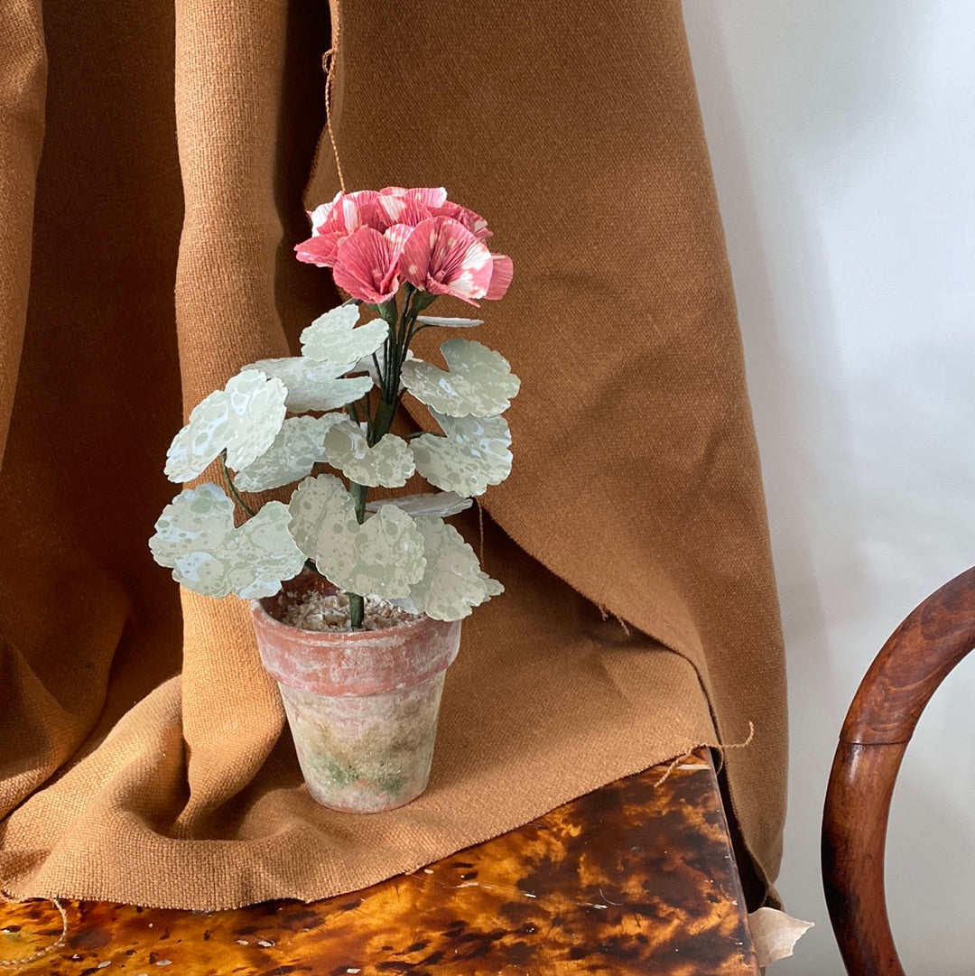 Paper Geranium
