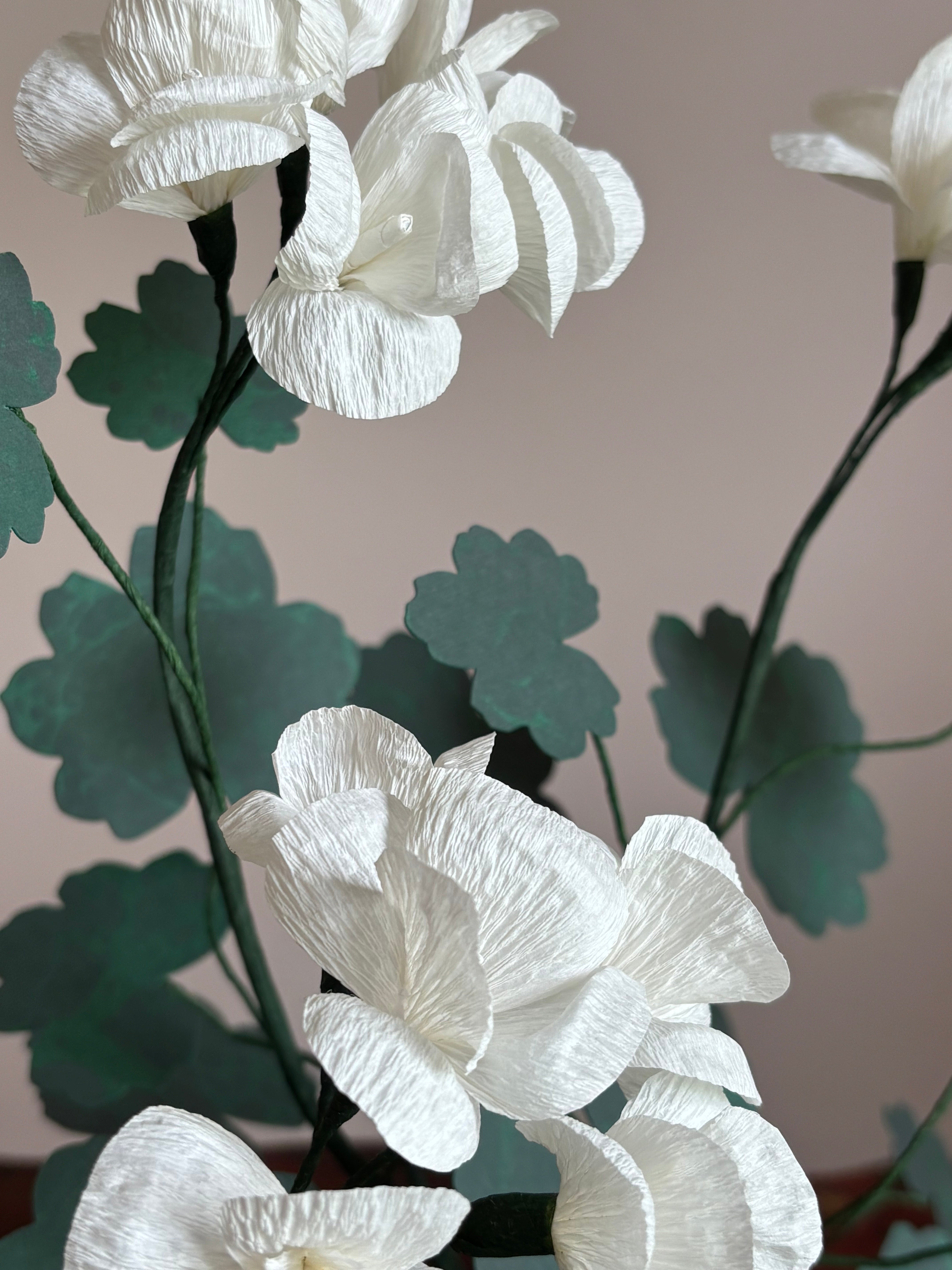 Paper Geranium