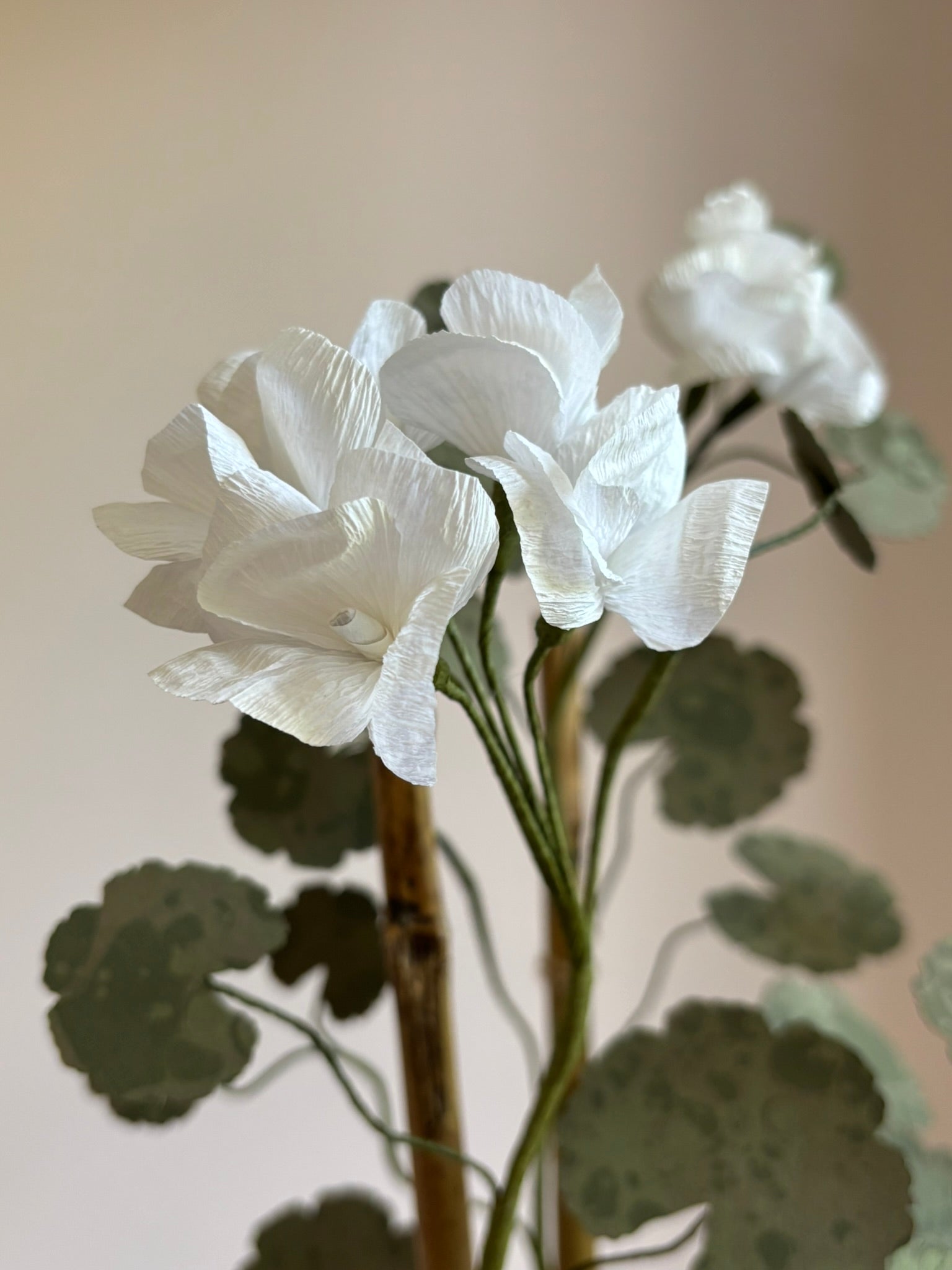 Paper Geranium