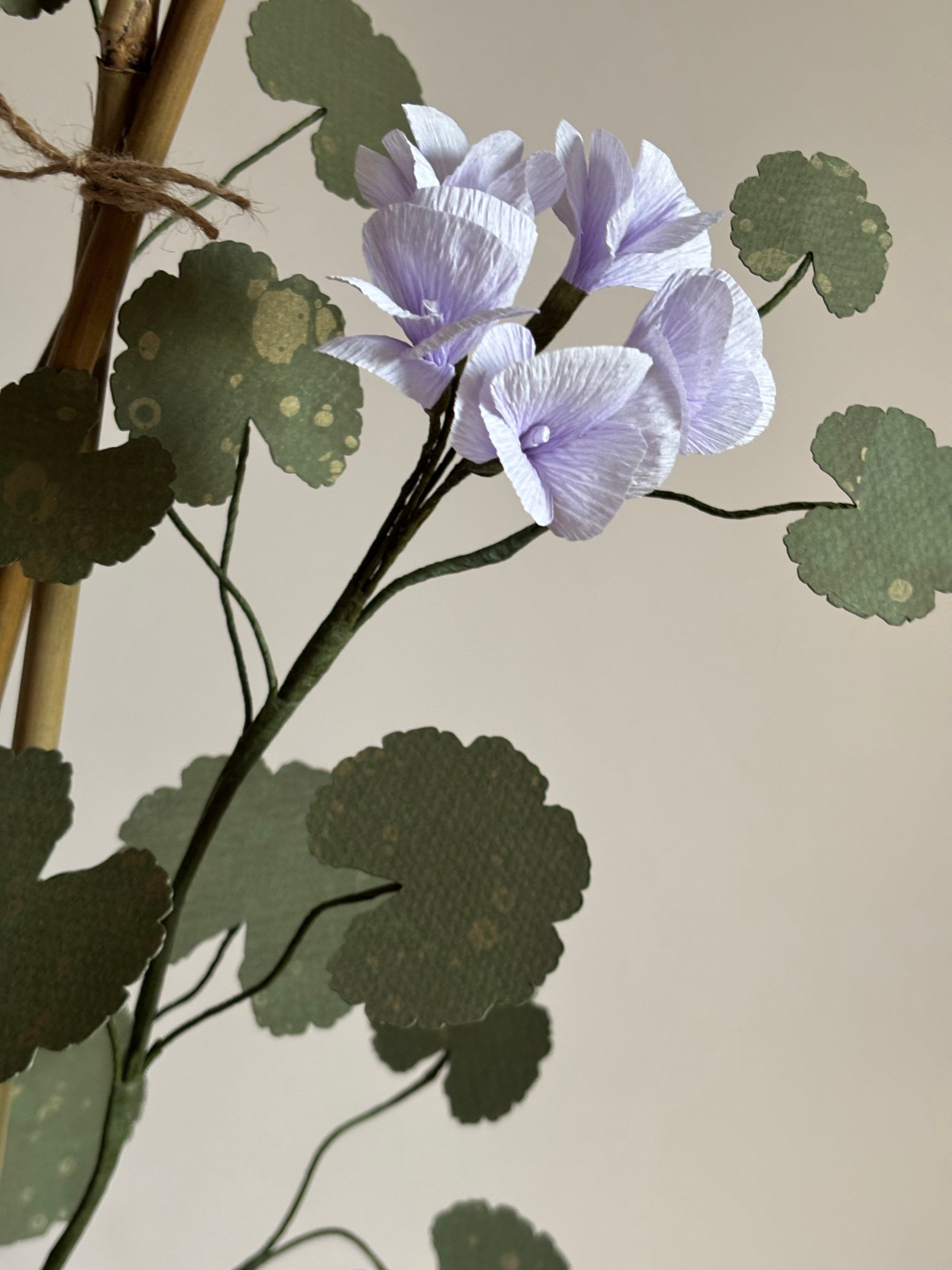 Paper Geranium