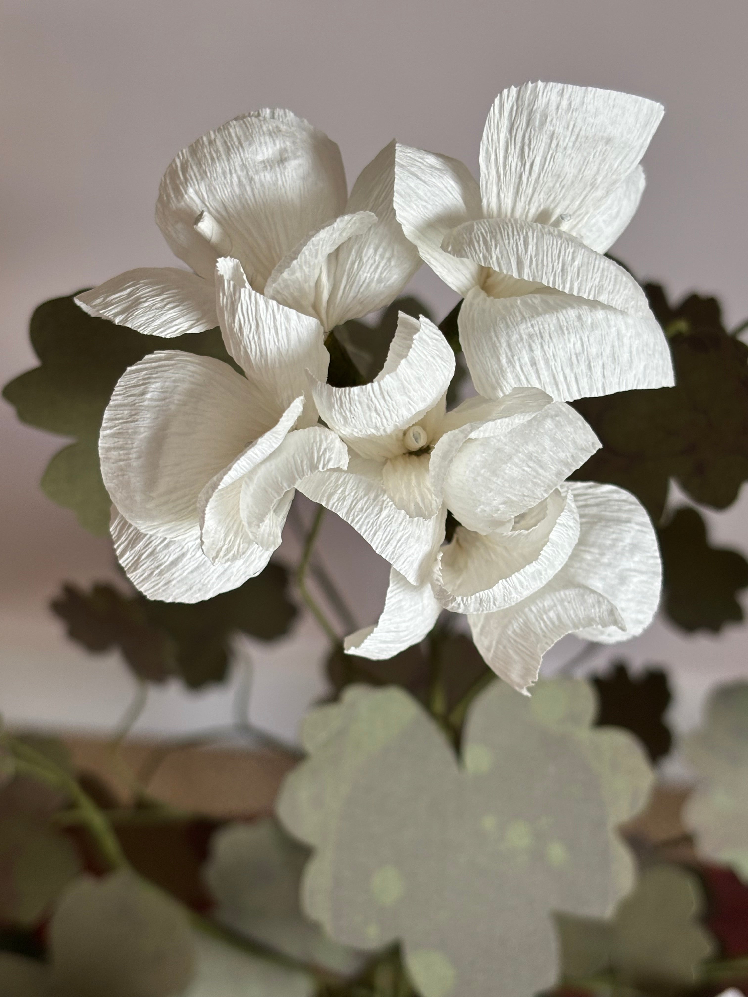 Paper Geranium
