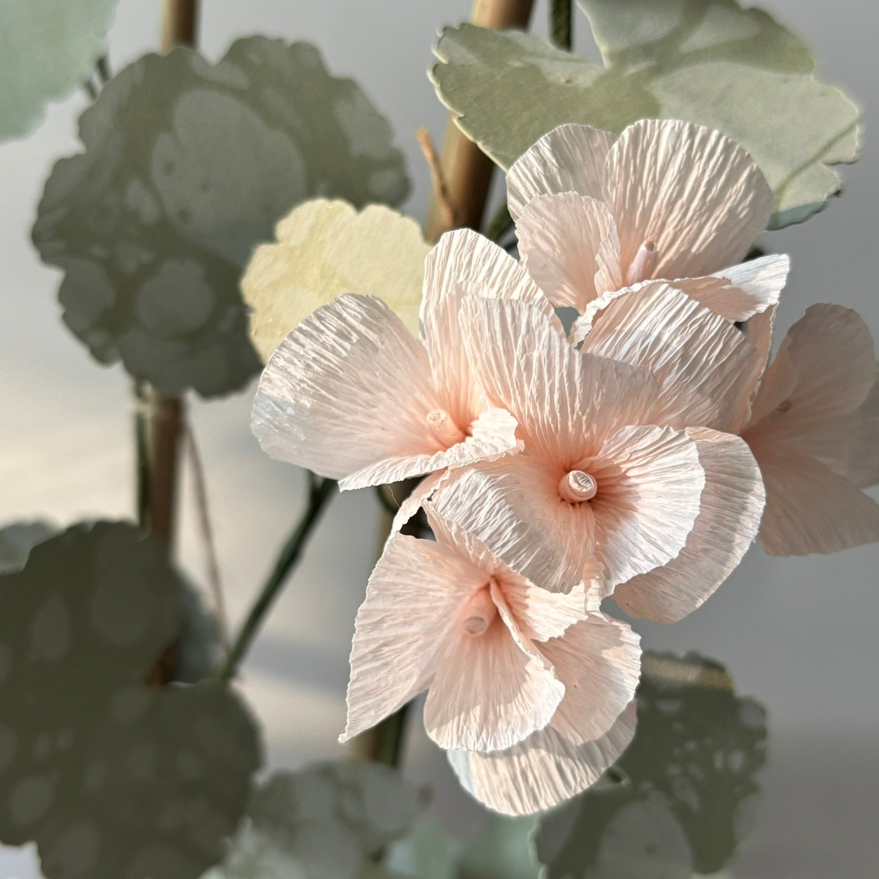 Paper Geranium