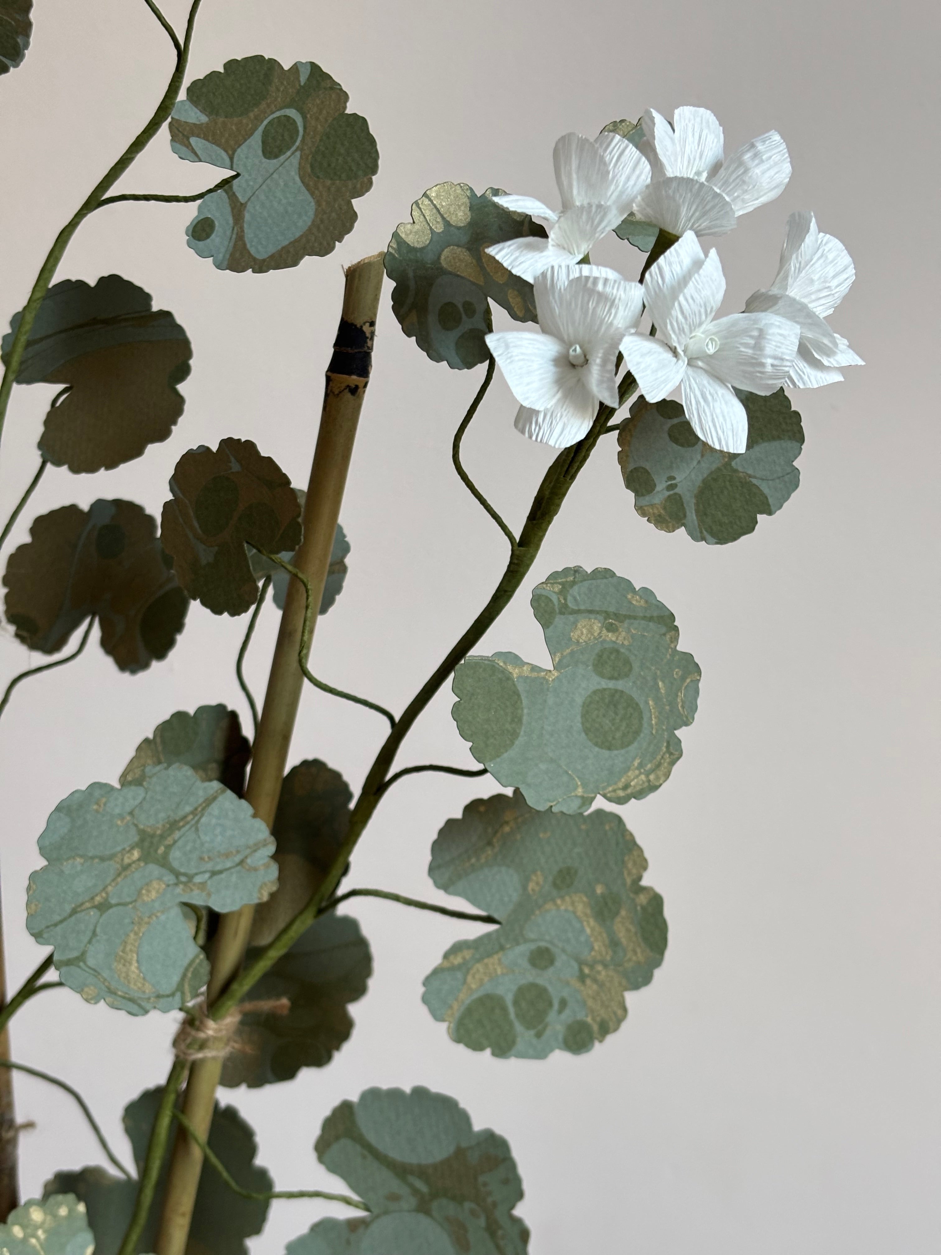 Paper Geranium