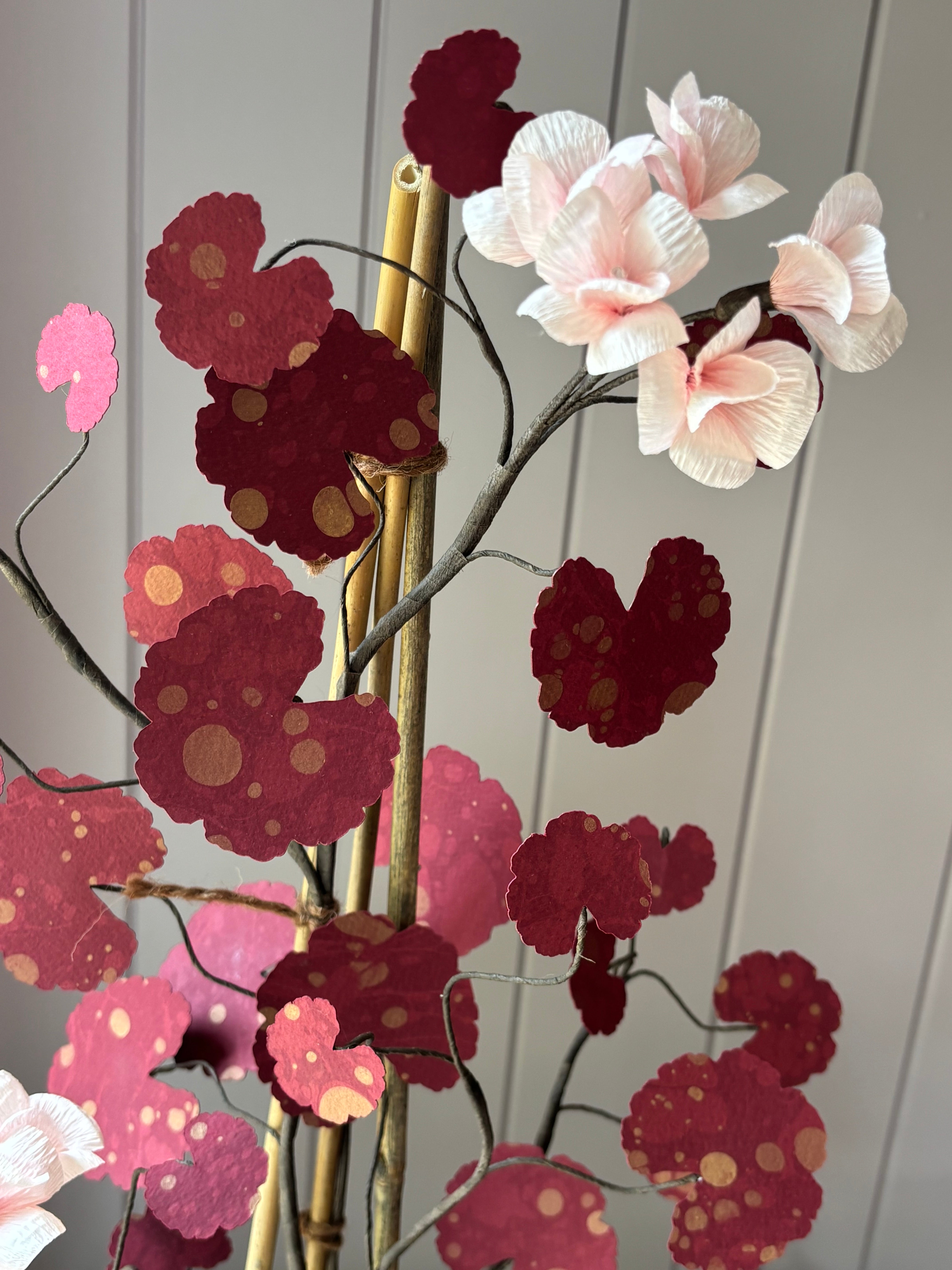 Paper geranium