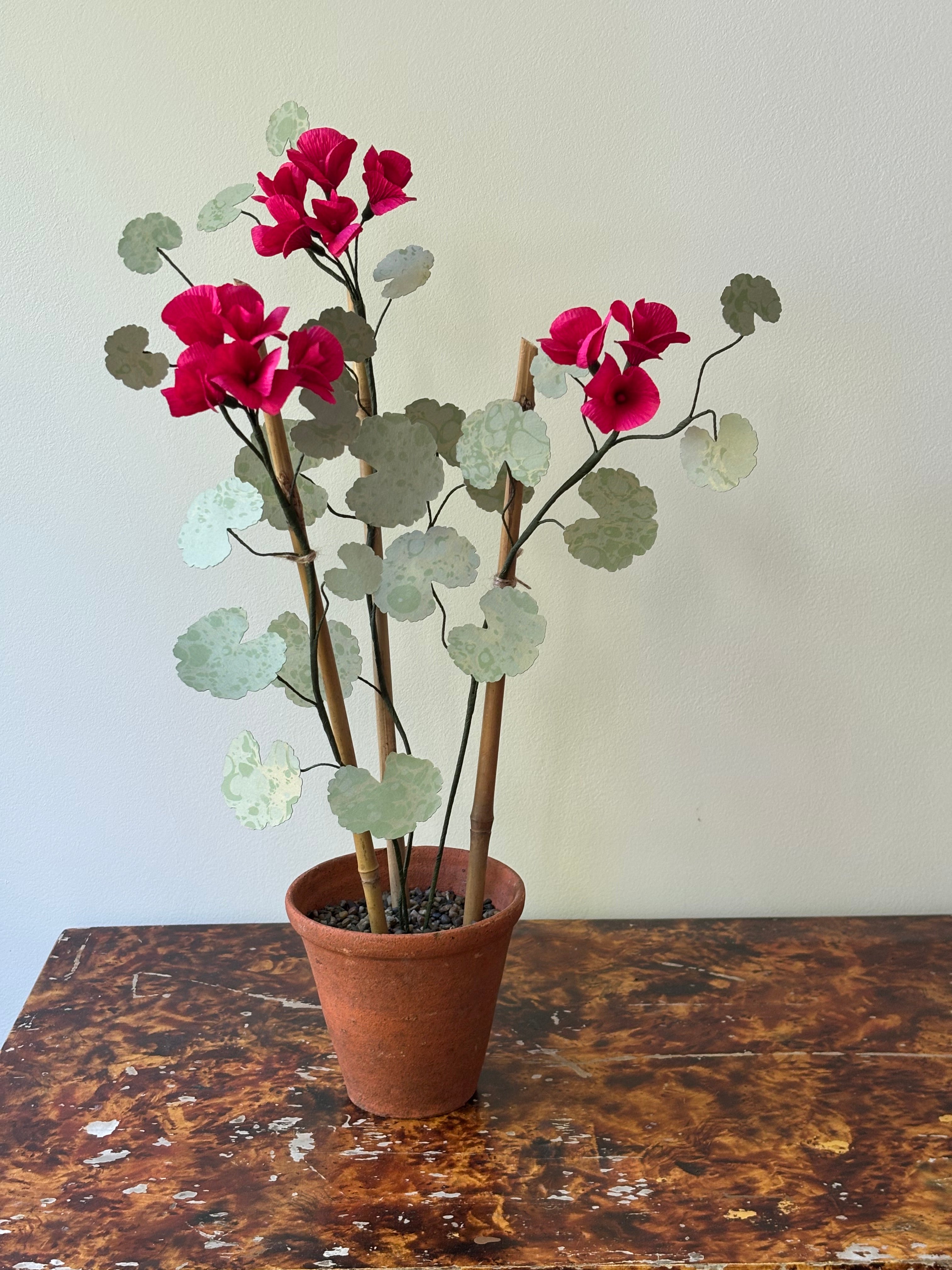 Paper Geranium