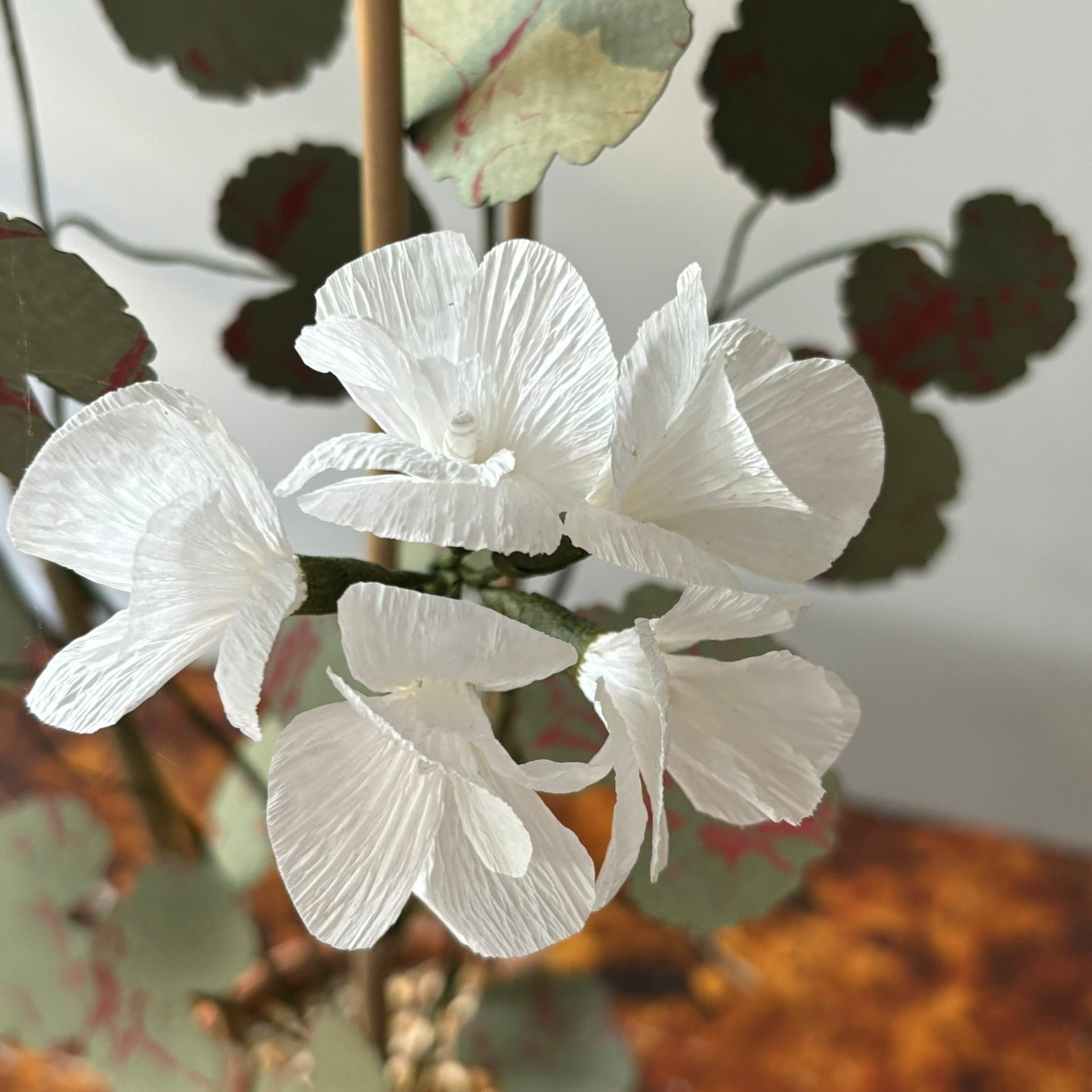 Paper Geranium