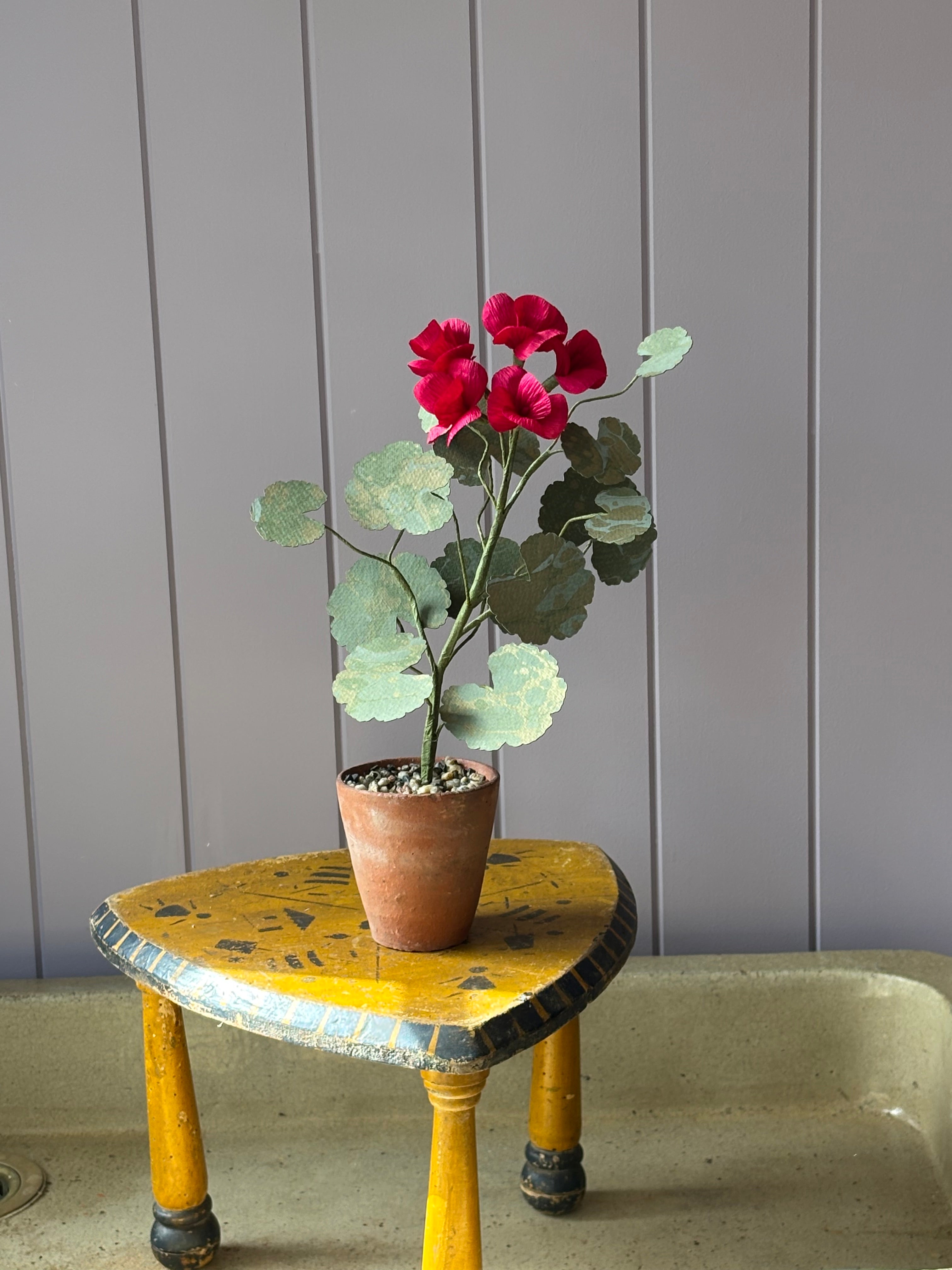 Paper Geranium