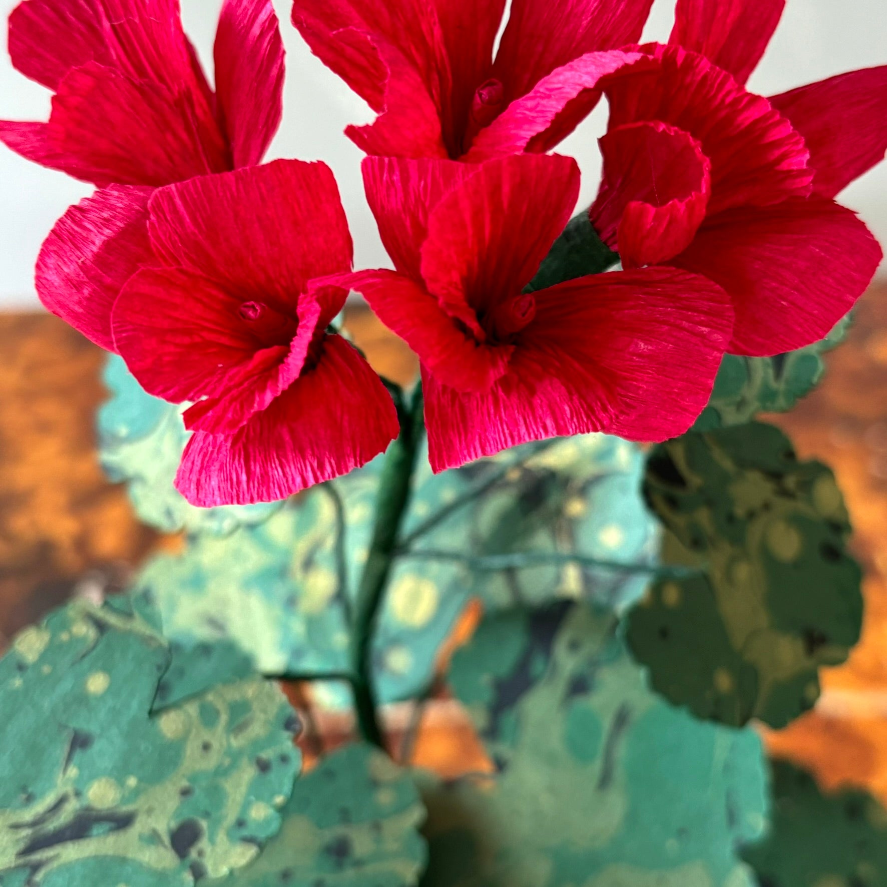 Paper Geranium