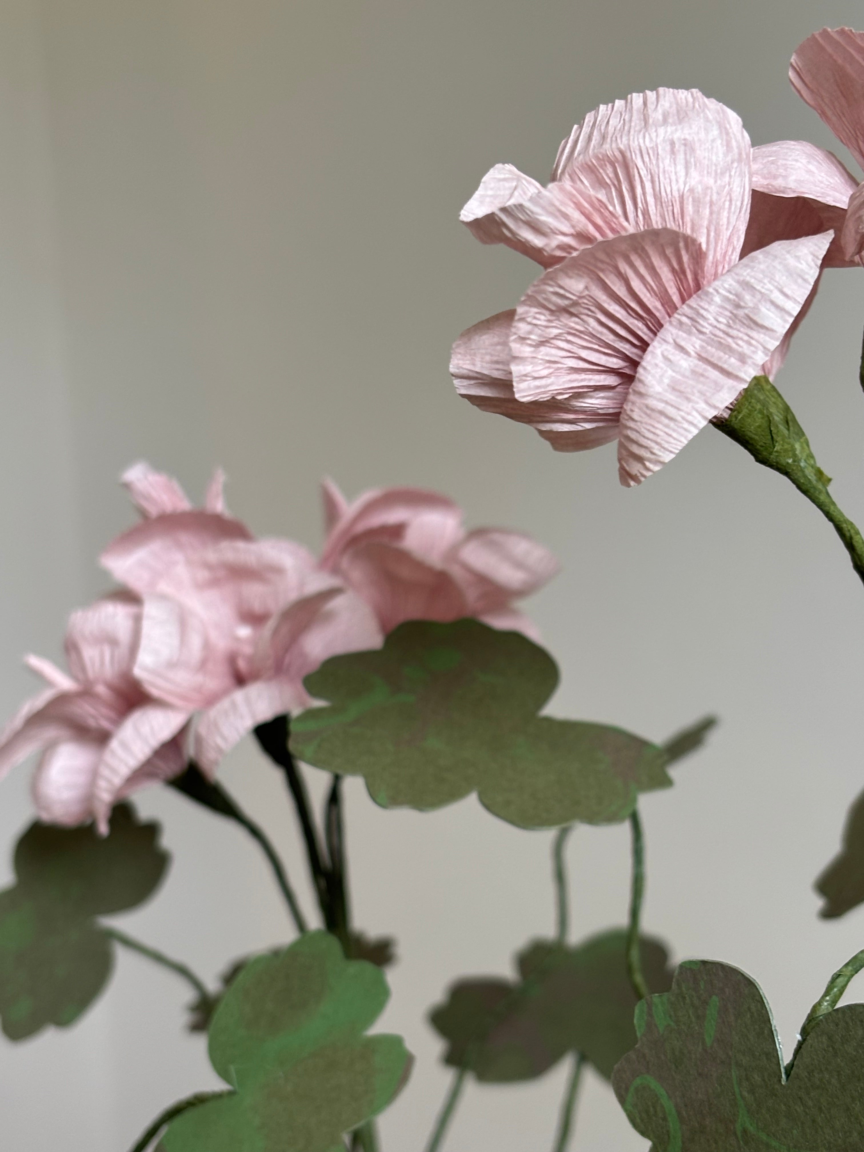 Paper Geranium