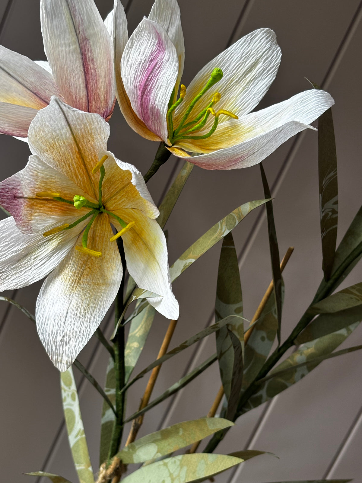 Paper Regale Lilly