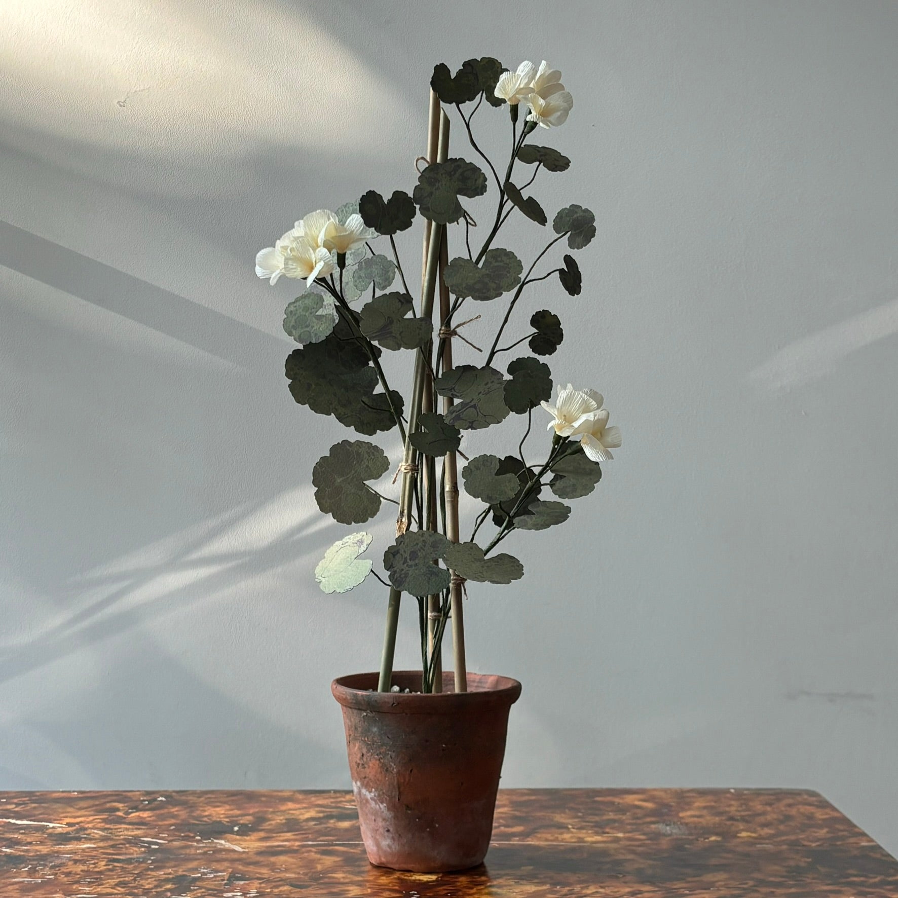 Paper Geranium