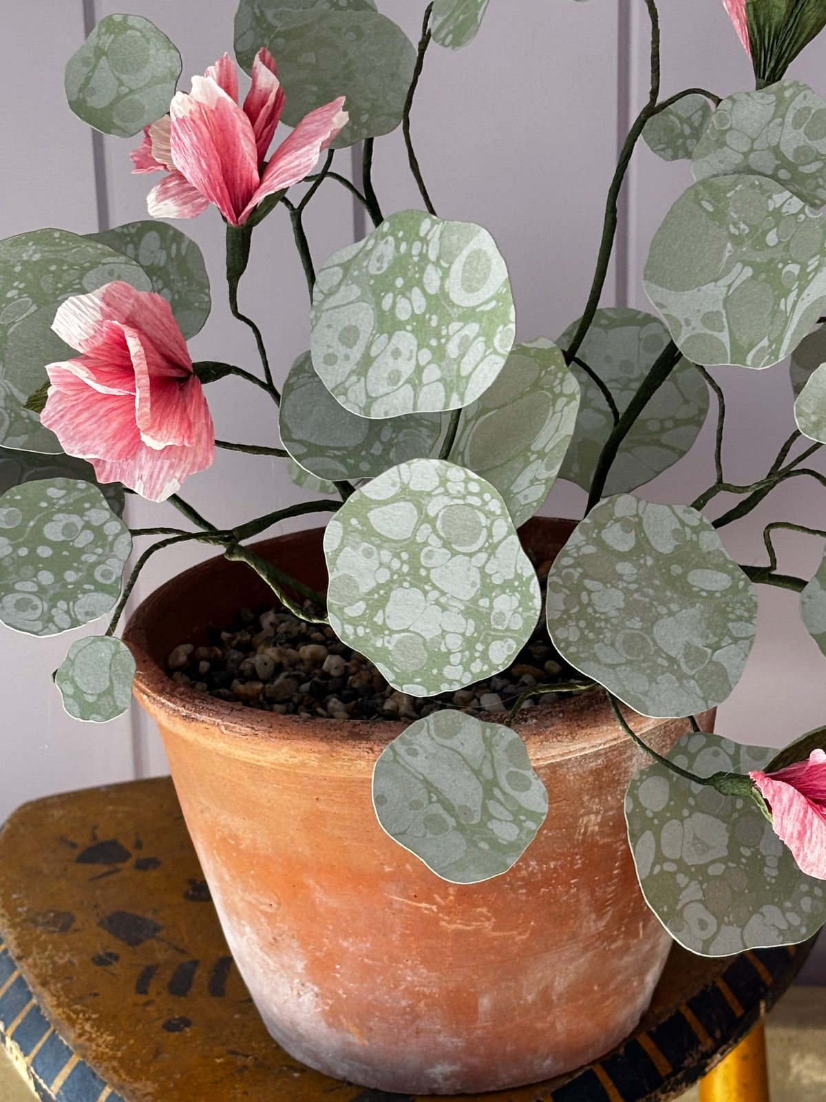 Paper nasturtium