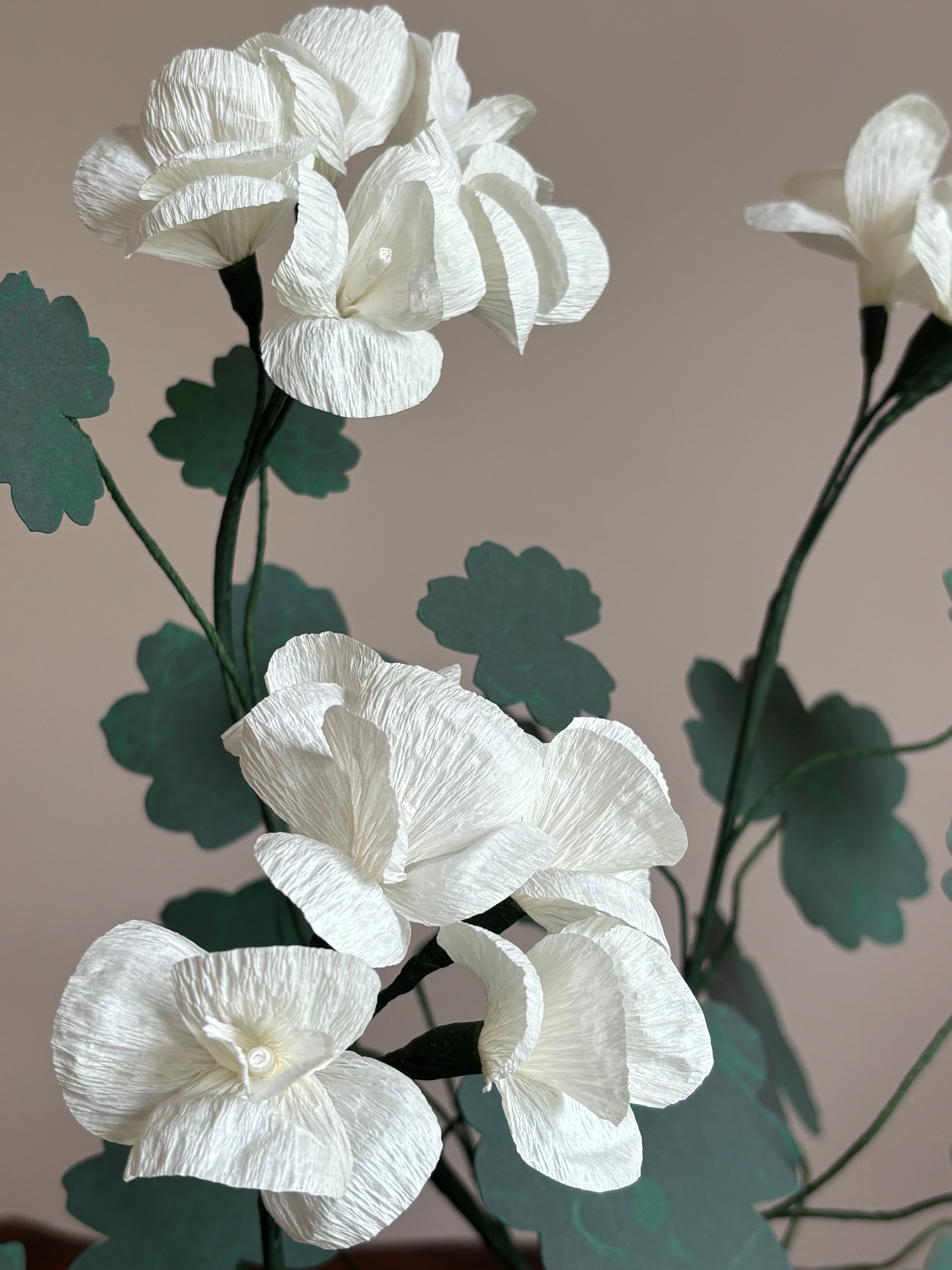 Paper Geranium