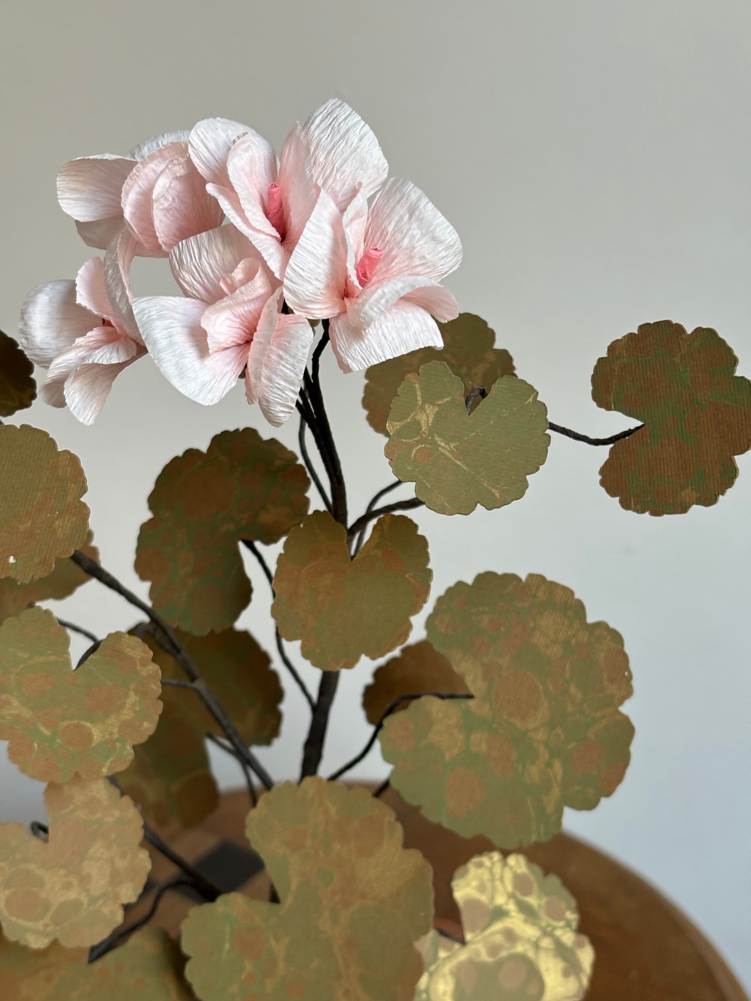 Paper Geranium