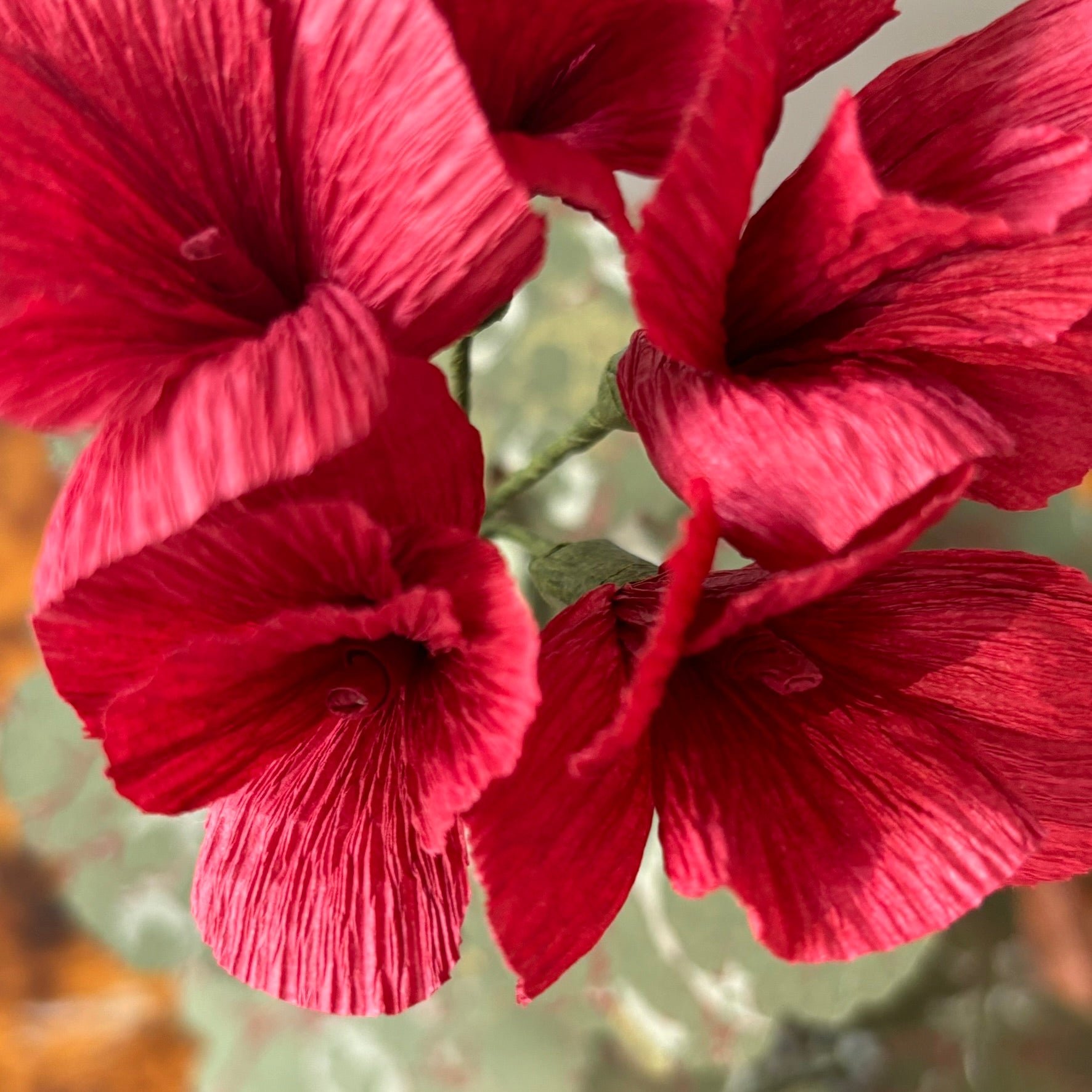 Paper Geranium