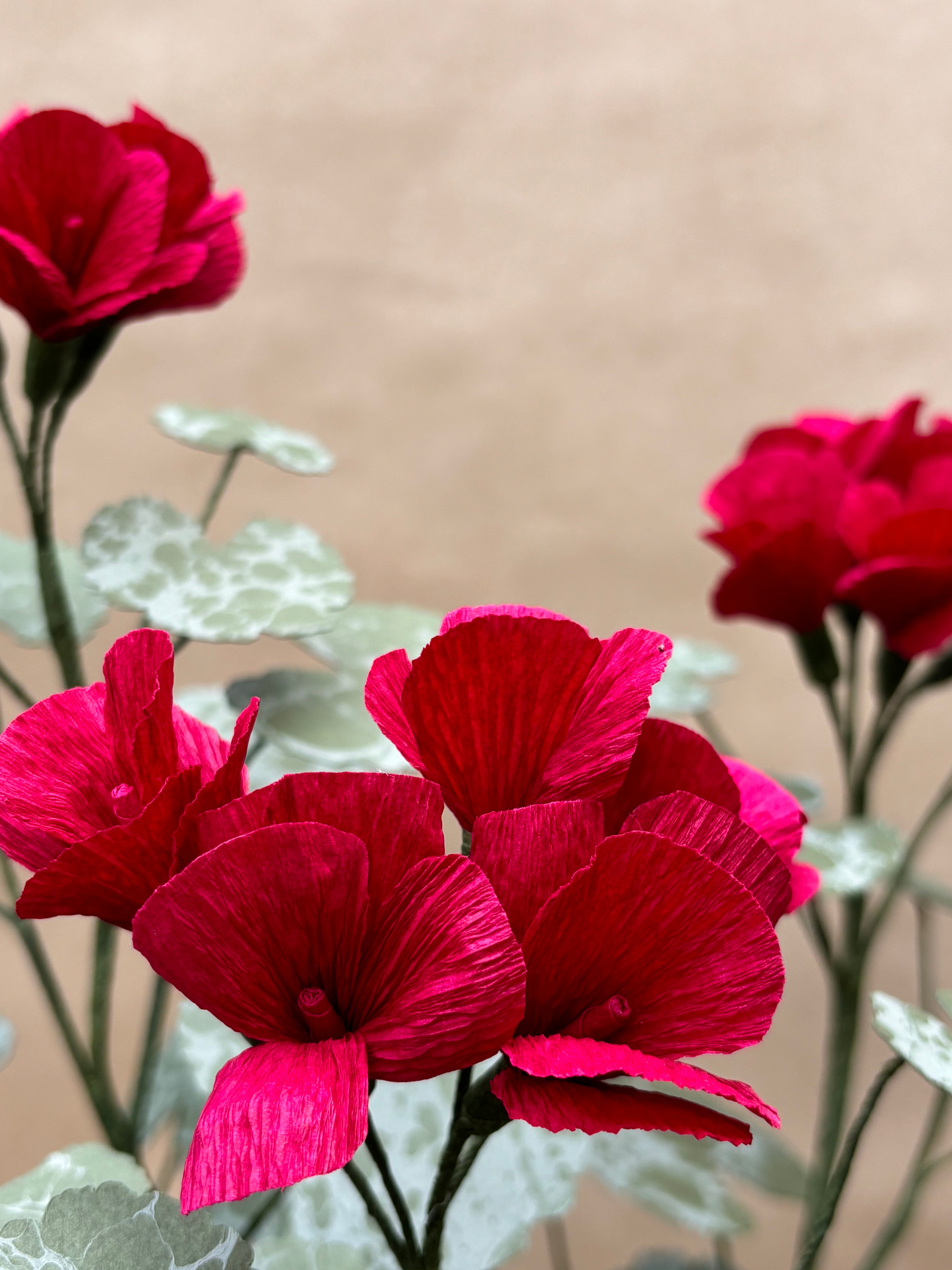 Geranium