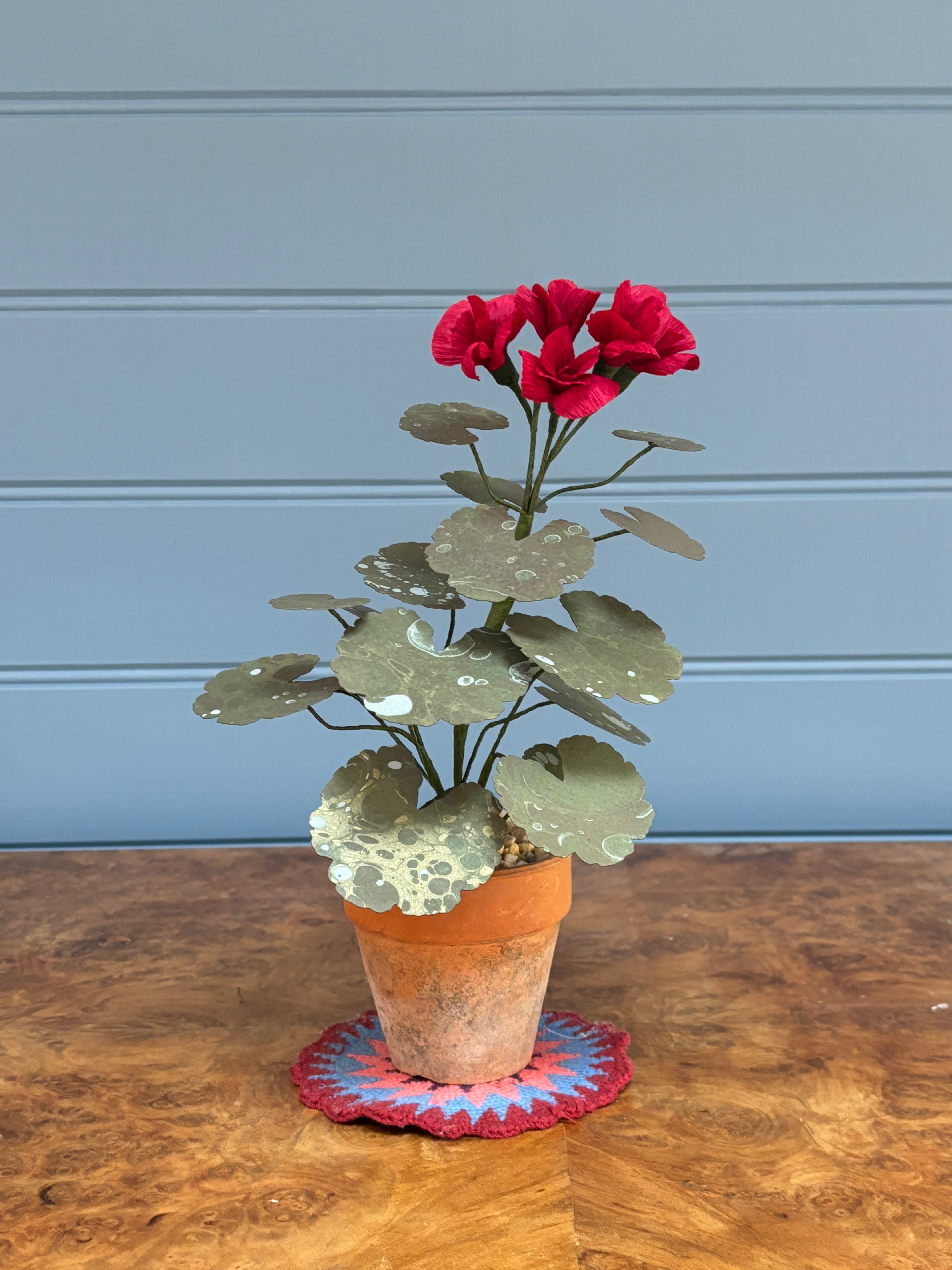 Geranium